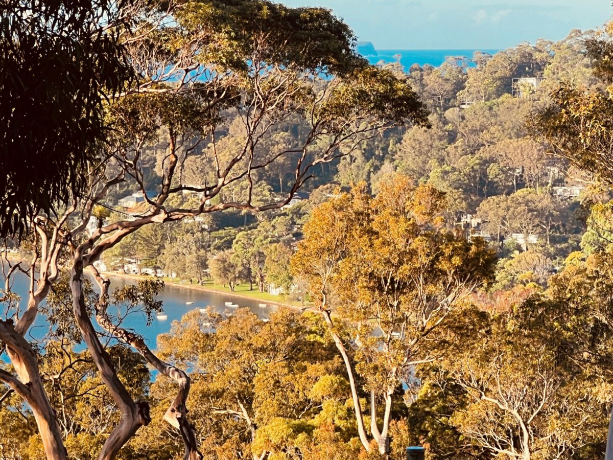 Avalon Beach, Northern Beaches, NSW