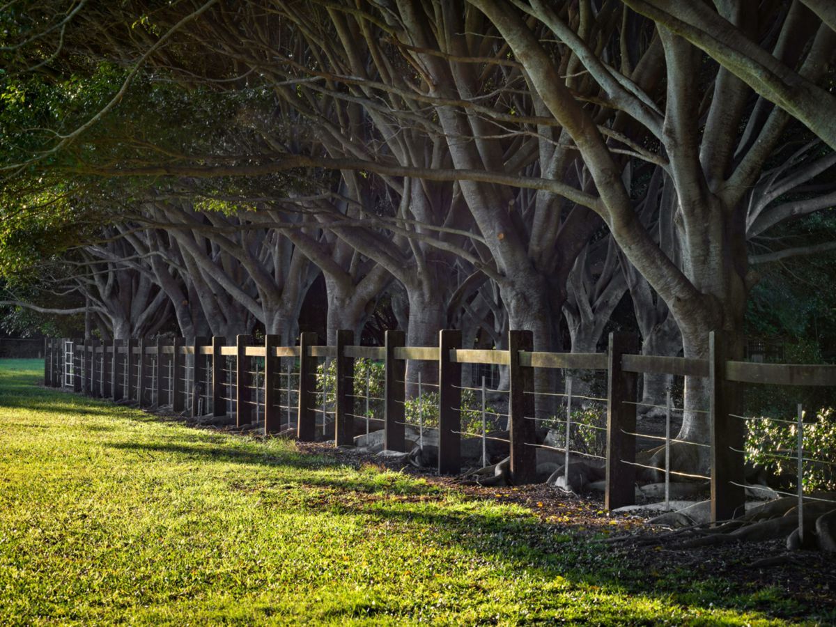 Knockrow, Northern Rivers, NSW