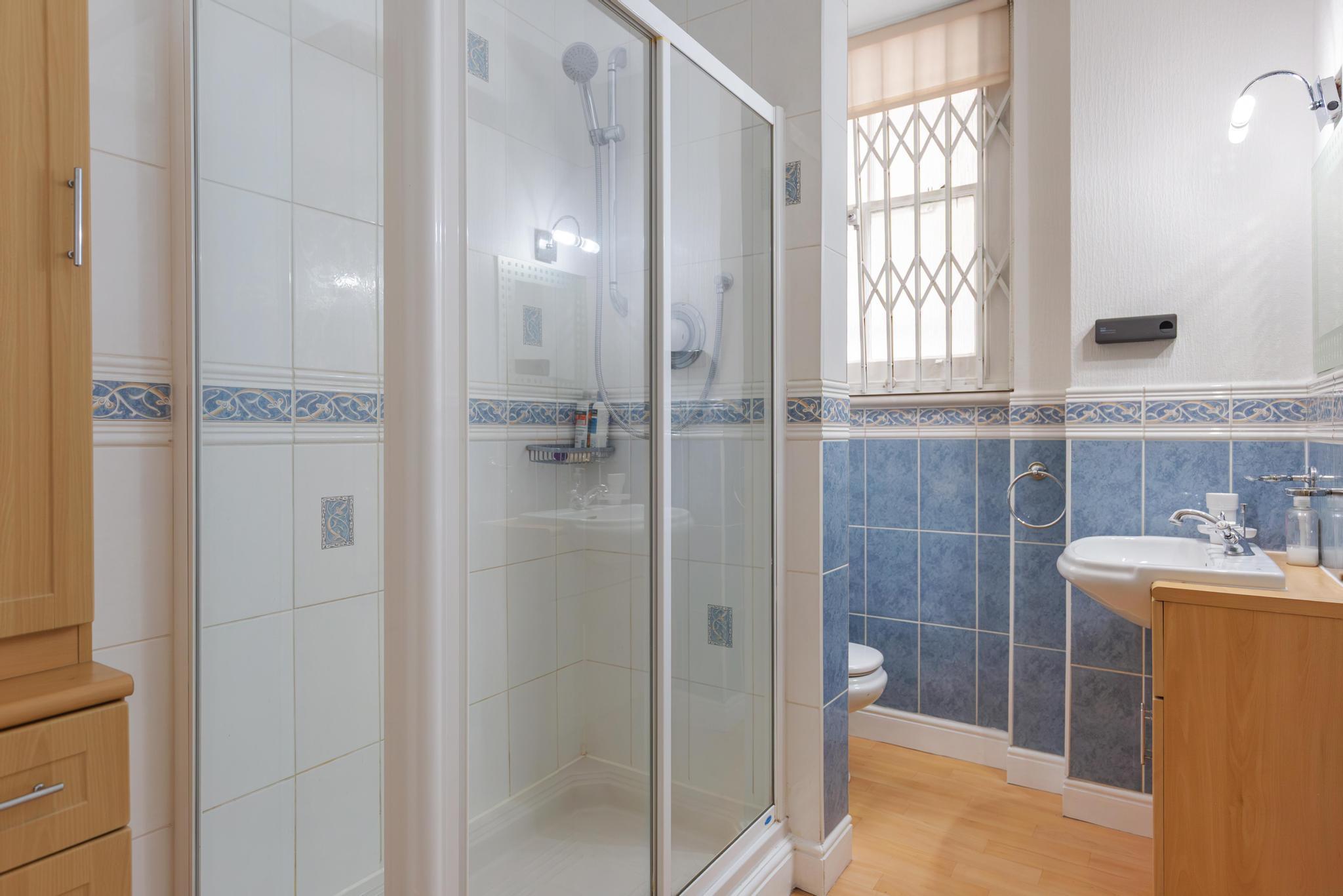 Montagu Mansions, London W1U
