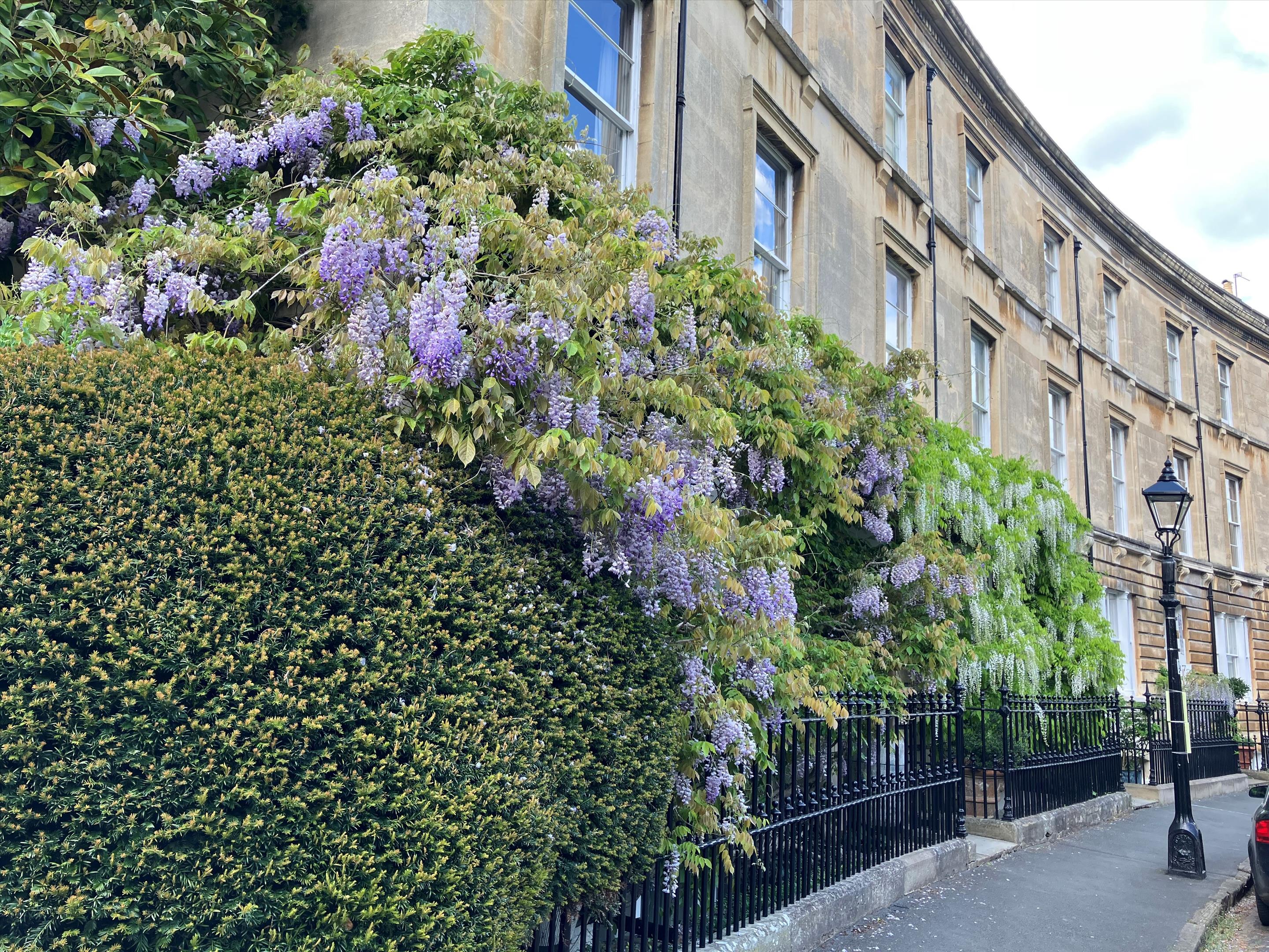 Park Town, Oxford, Oxfordshire, OX2