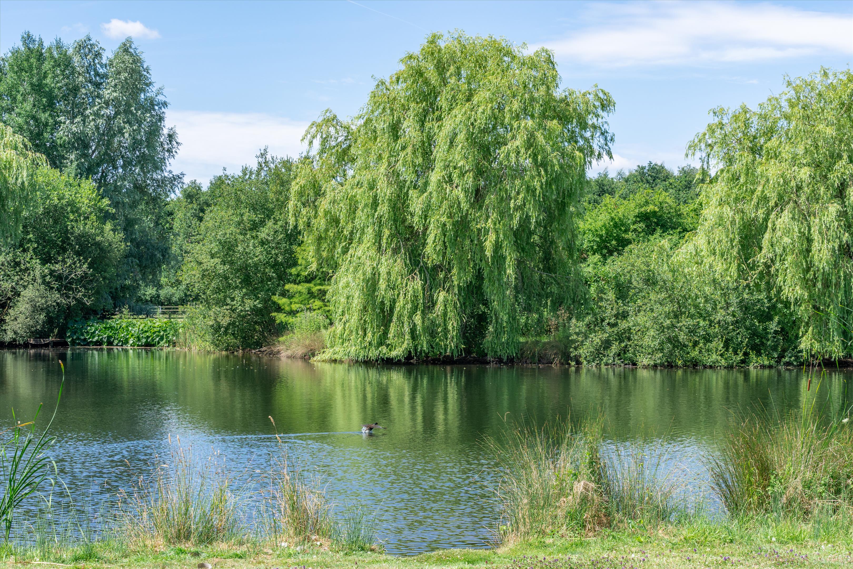 Wotton Underwood, Buckinghamshire, HP18