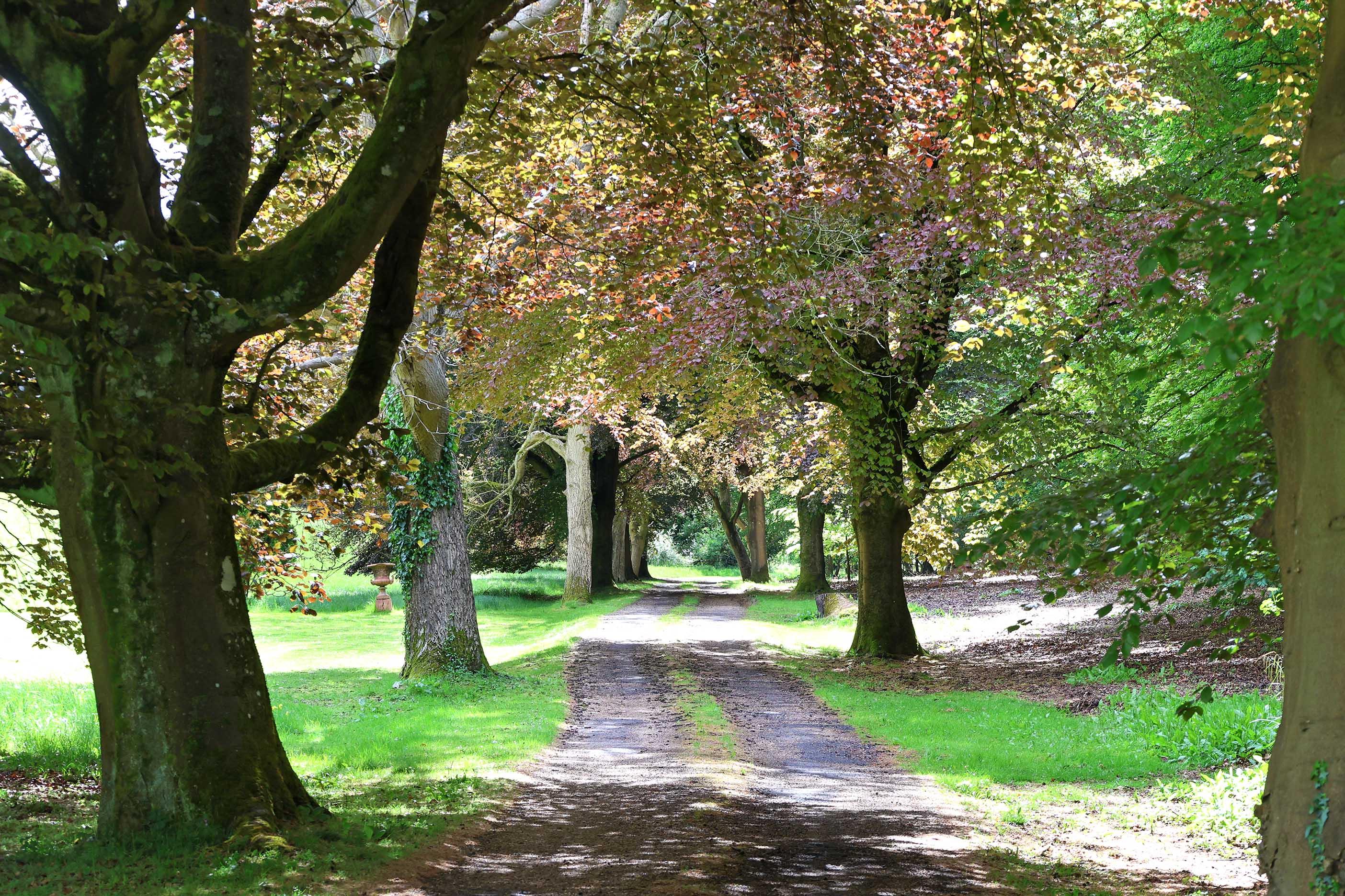 Grange Farm Road, Radnage, Buckinghamshire HP14