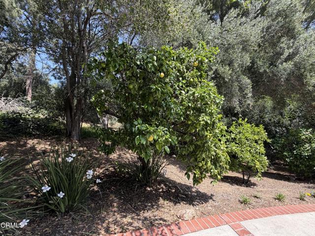 627 Linda Vista AVE, Pasadena