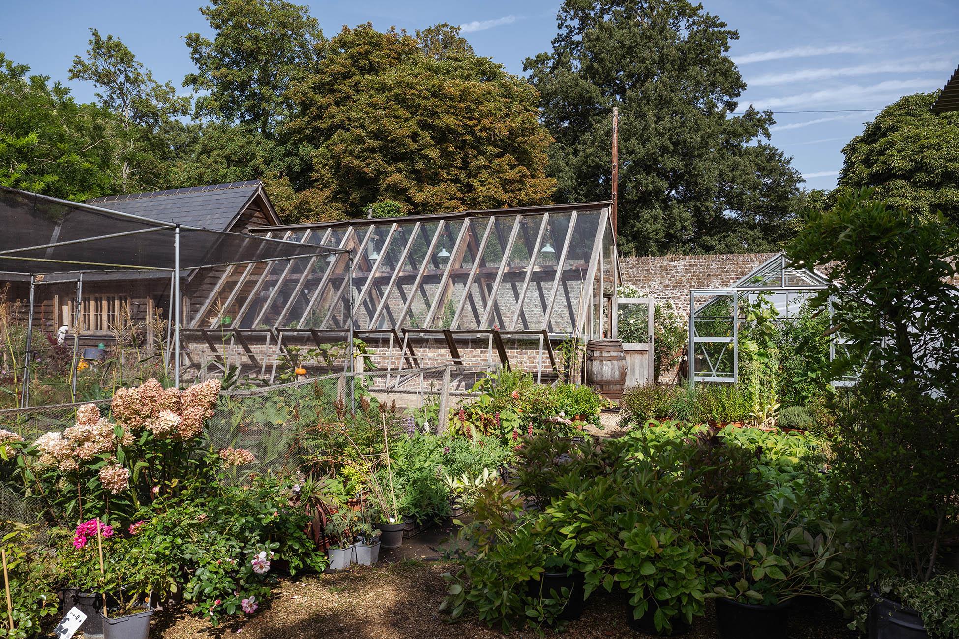 Hampton Court Road, East Molesey, Surrey KT8