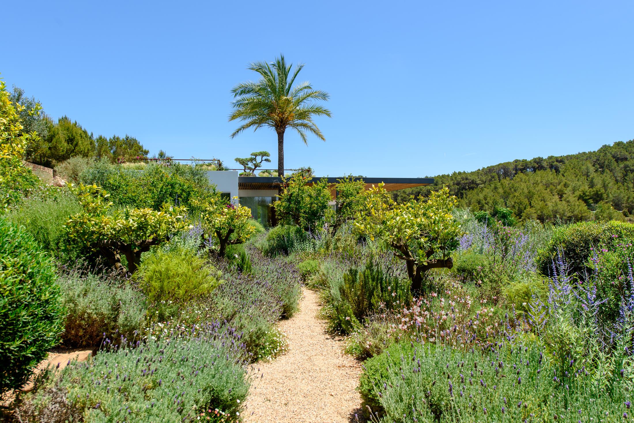 Ibiza, Illes Balears