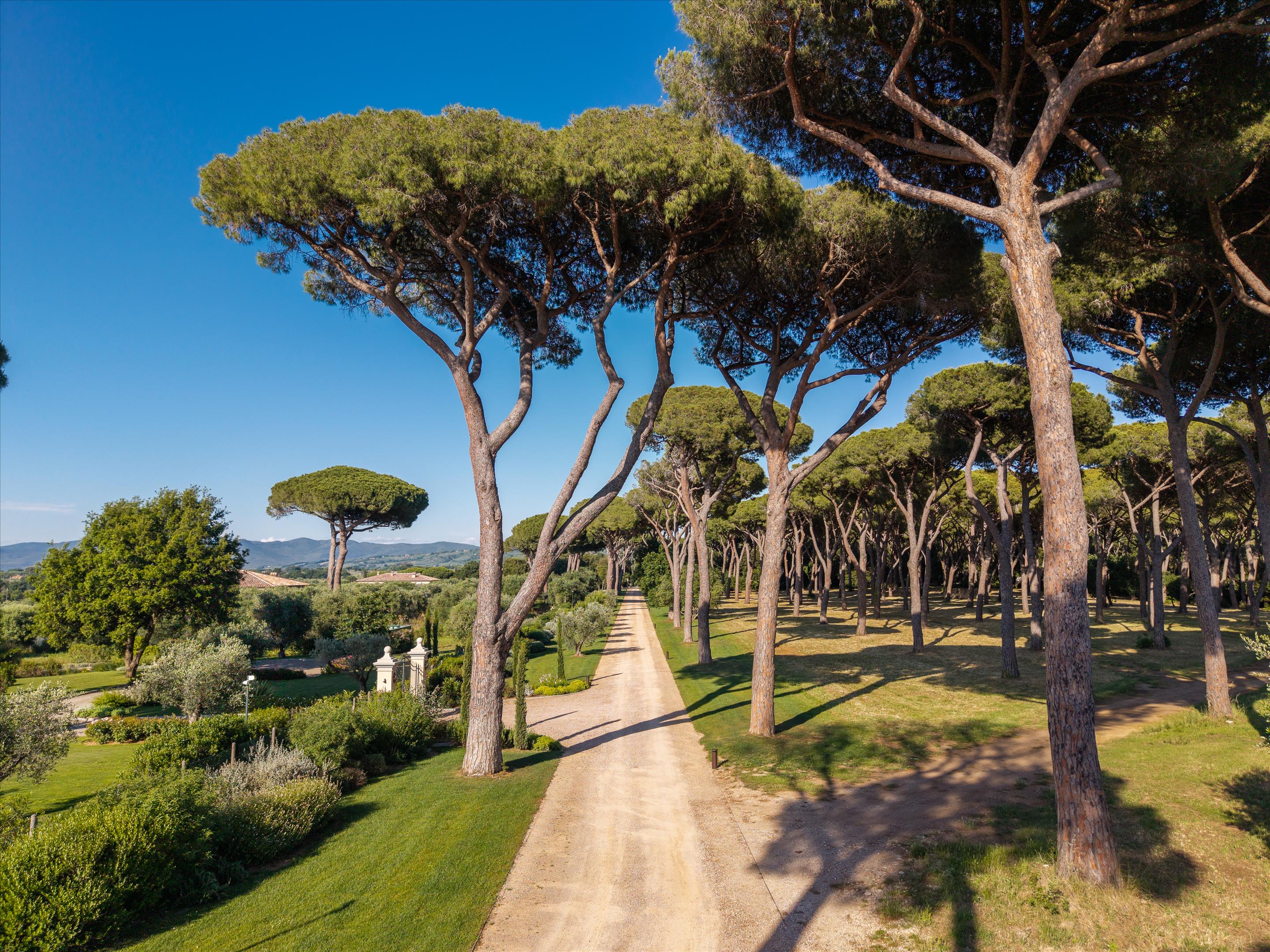 Bolgheri, Livorno, Tuscany