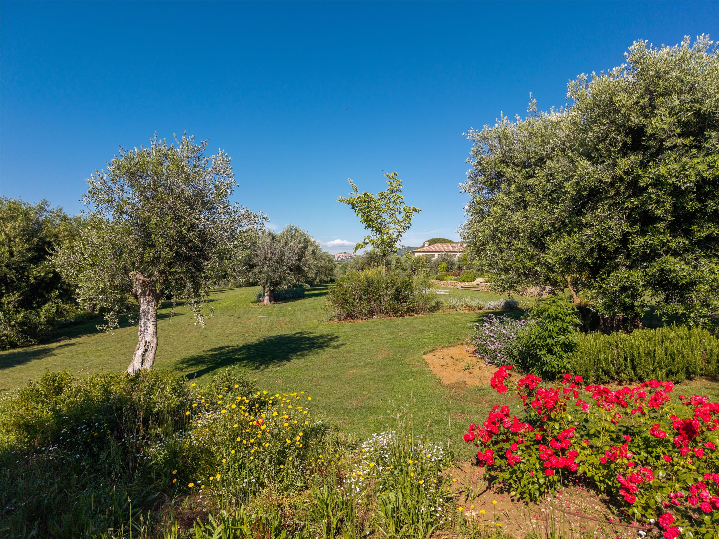 Bolgheri, Livorno, Tuscany