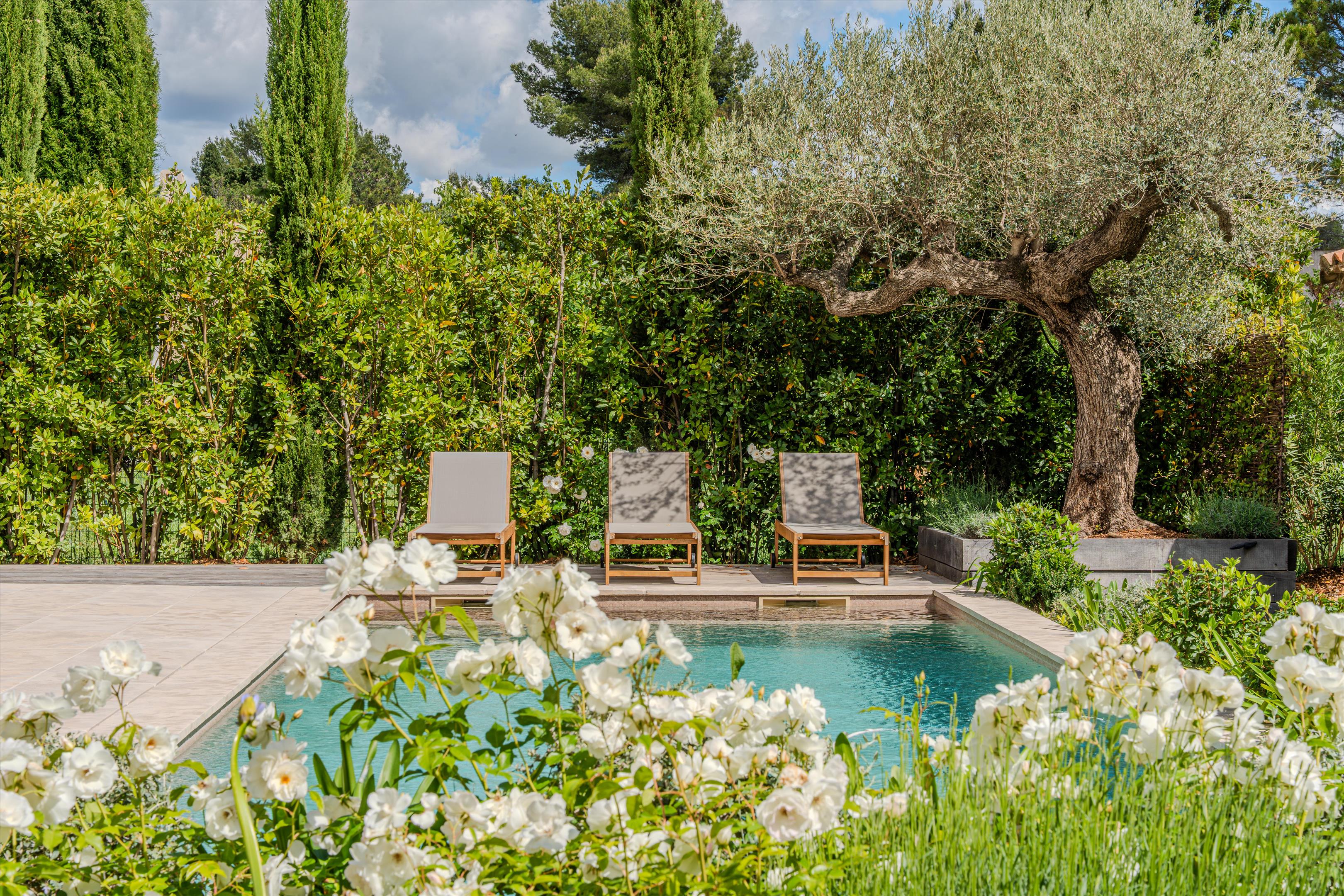Alpilles, Bouches-Du-Rhône, Provence-Alpes-Côte D'Azur
