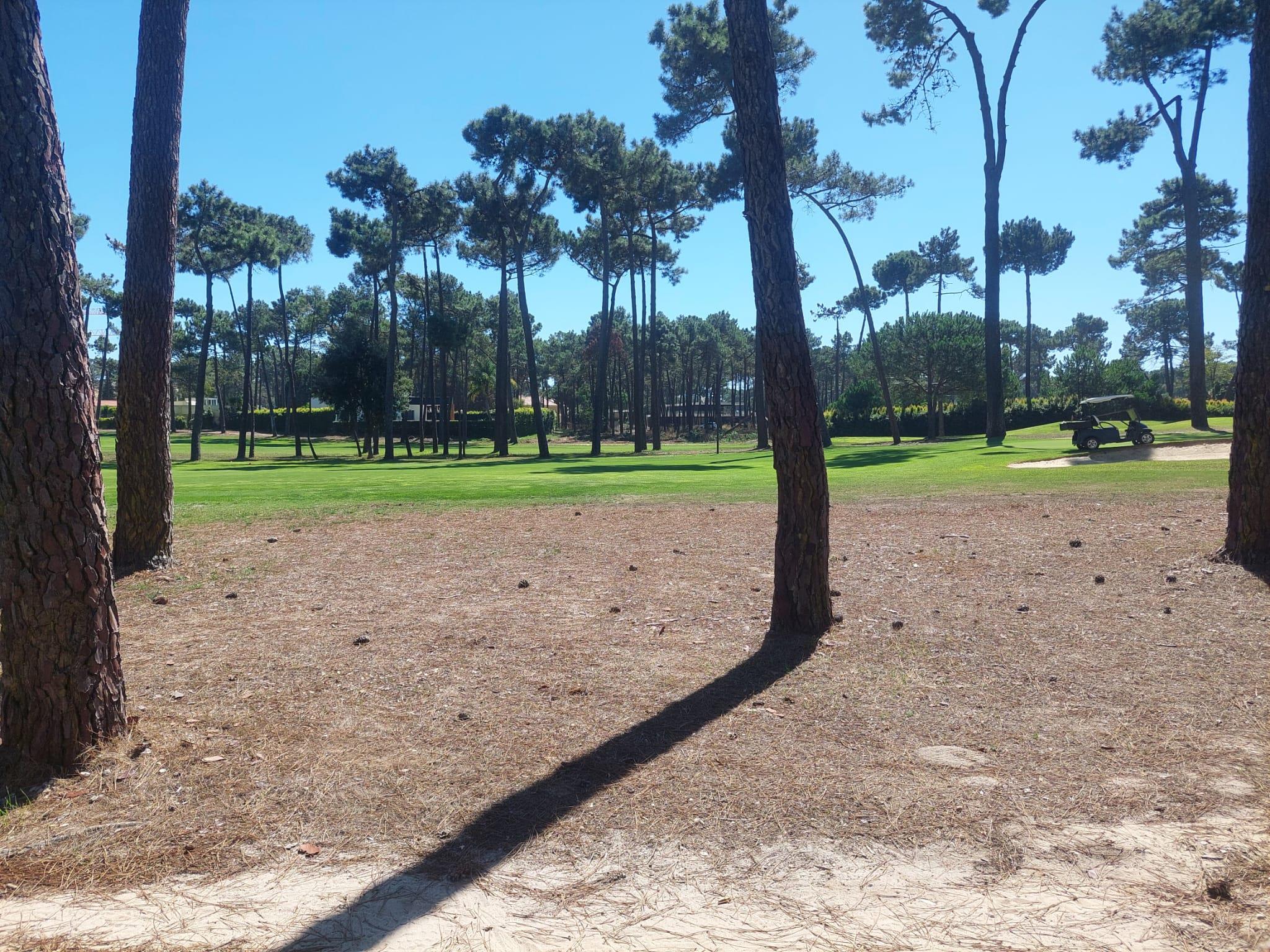 Almada, Setúbal