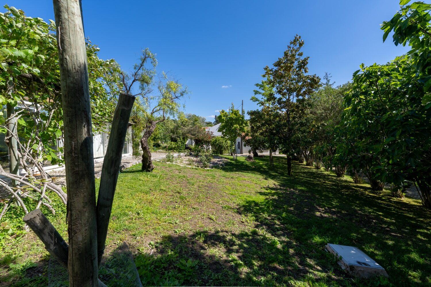Azeitão, Setúbal