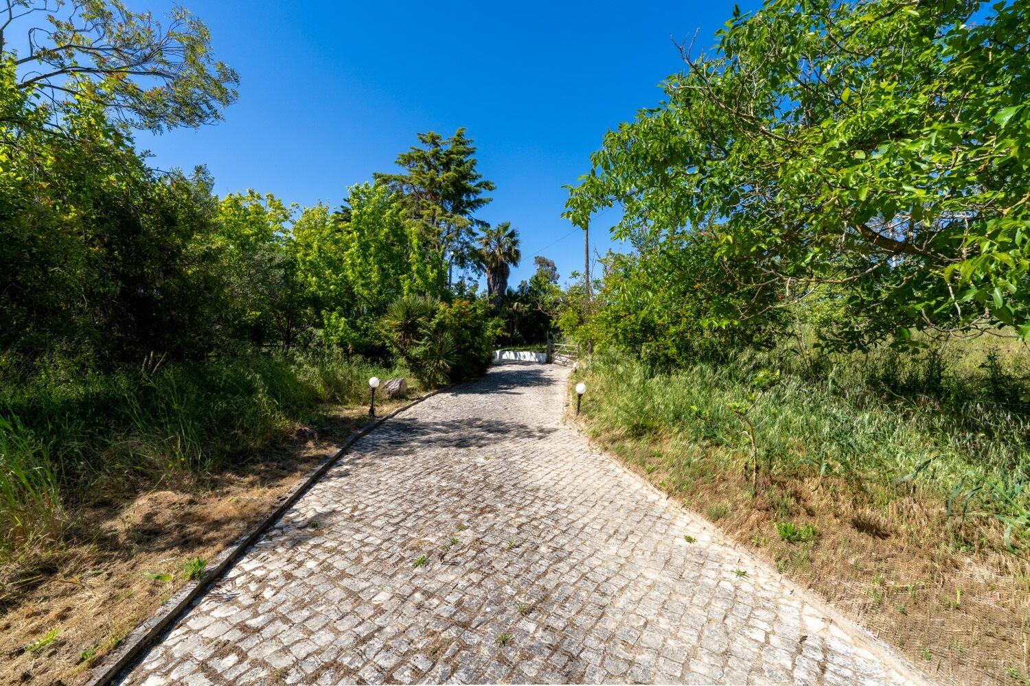 Azeitão, Setúbal