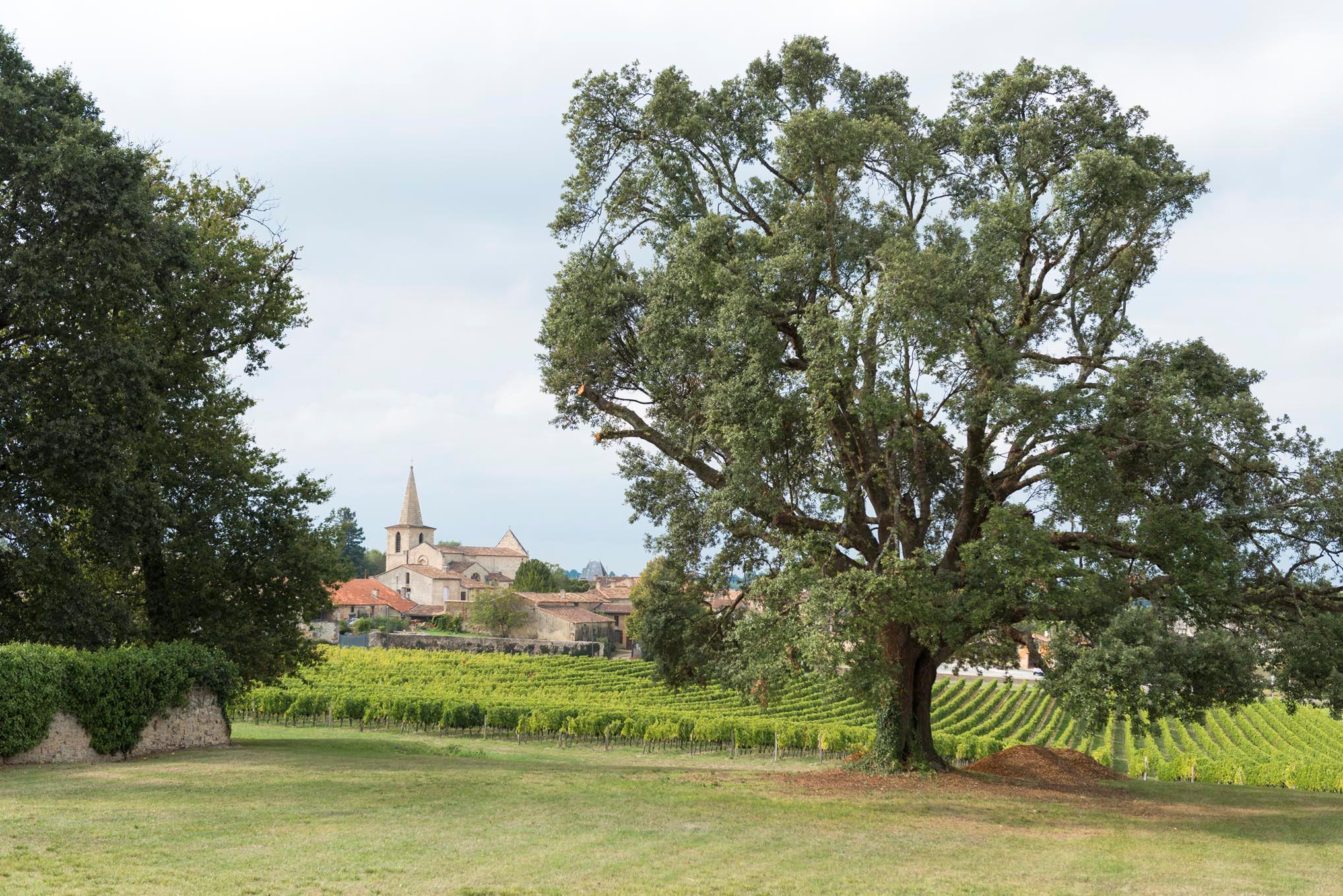 Berson, Nouvelle-Aquitaine