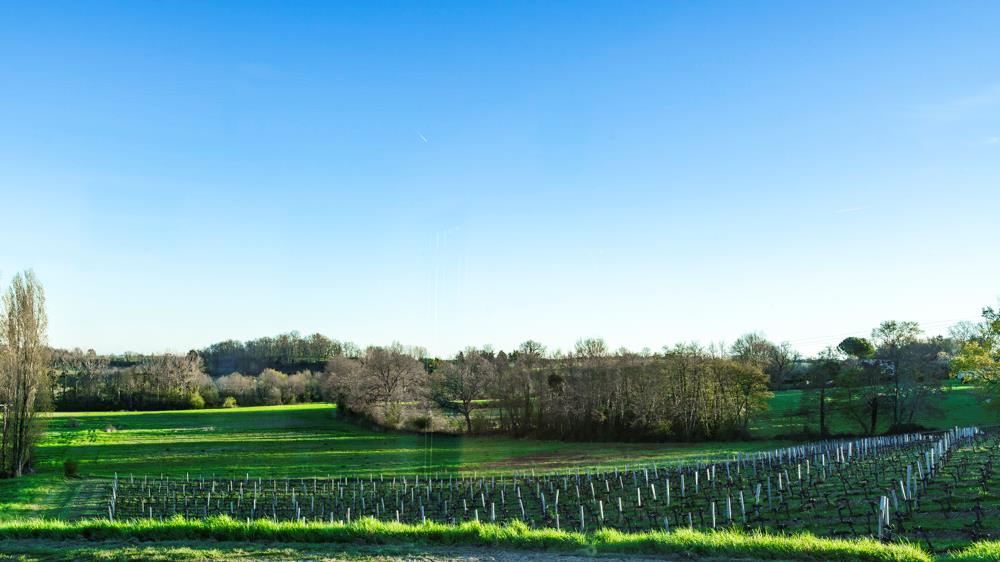 Berson, Nouvelle-Aquitaine