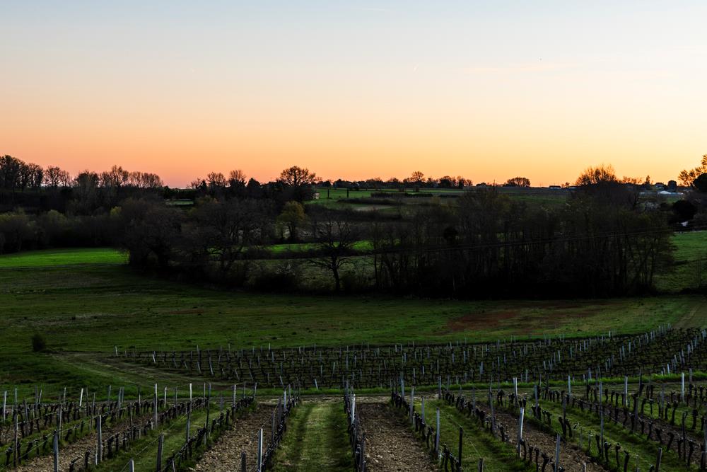 Berson, Nouvelle-Aquitaine