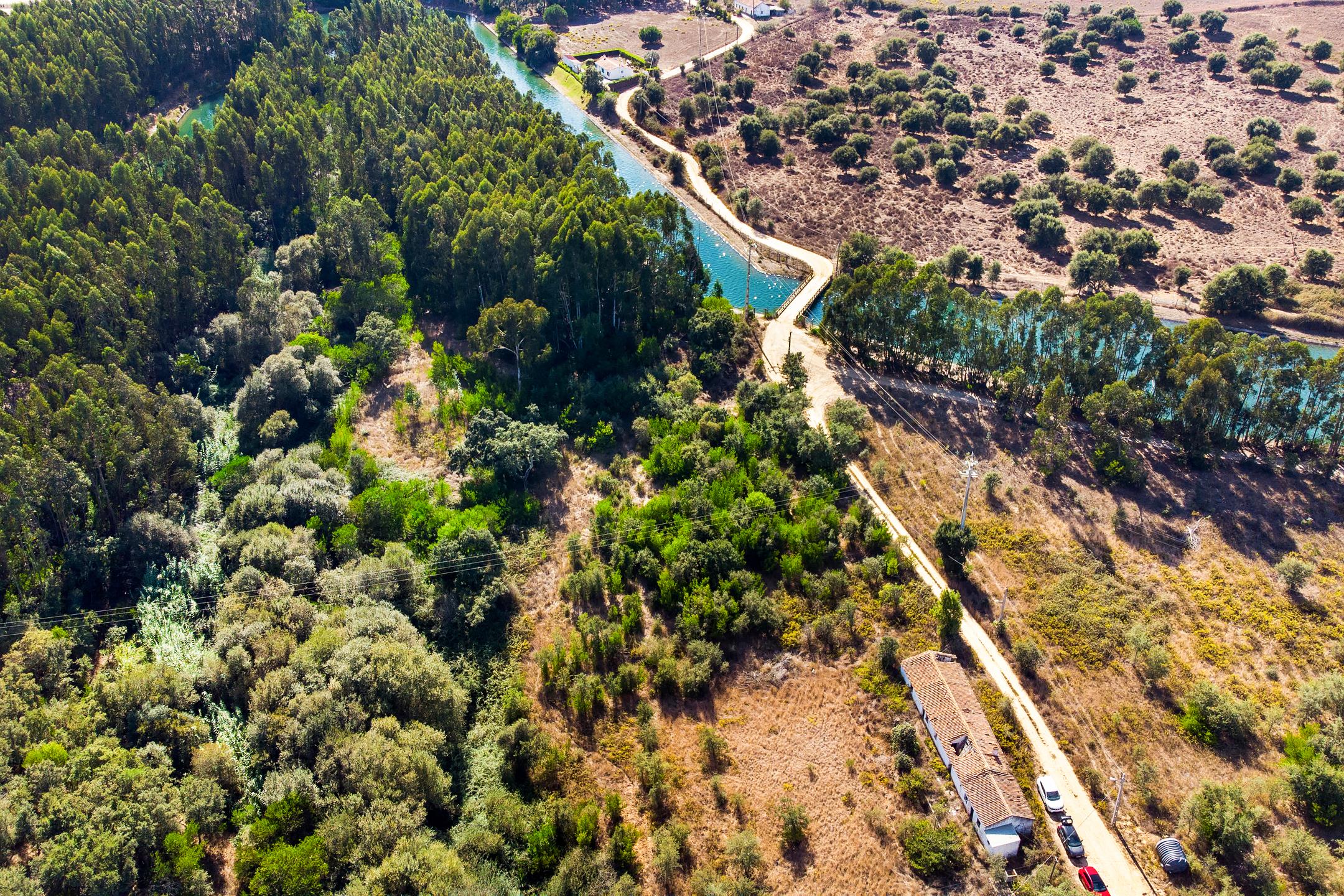Odemira, Beja
