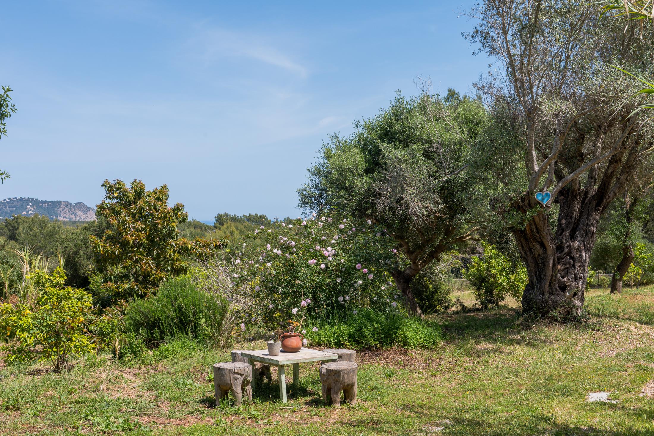Ibiza, Santa Eulalia, Islas Baleares