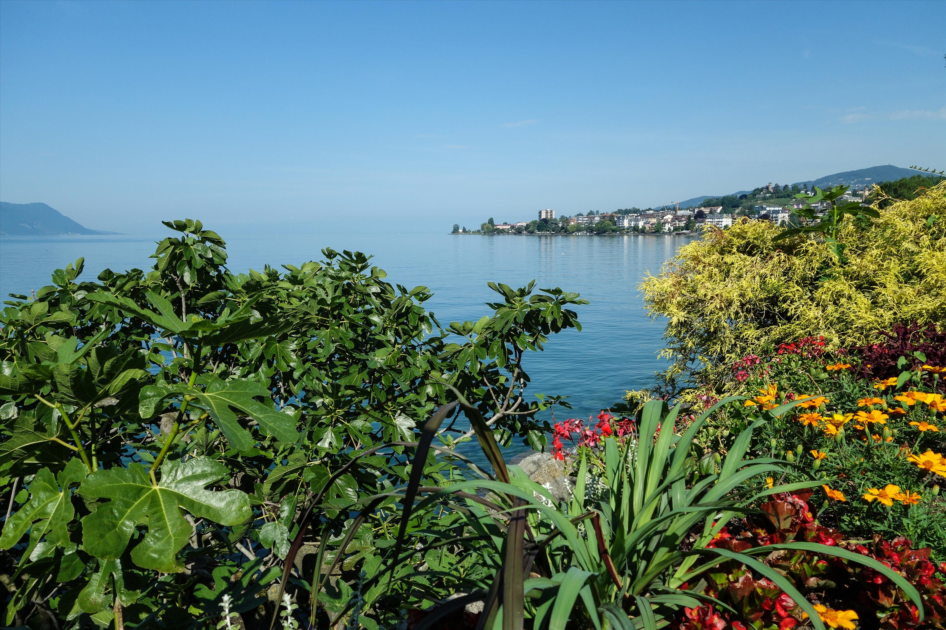 Montreux, Vaud