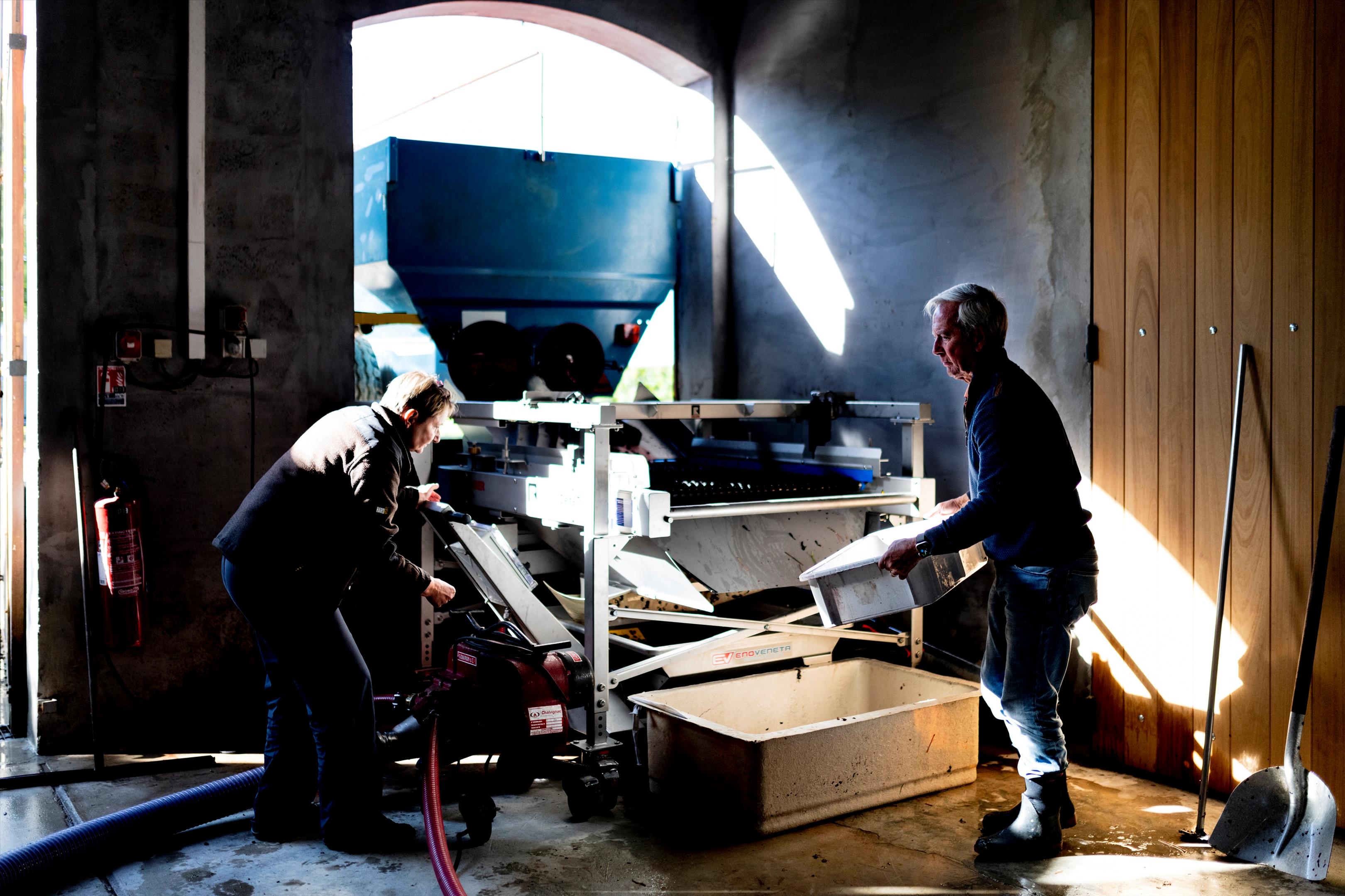 Cars, Gironde, Nouvelle-Aquitaine