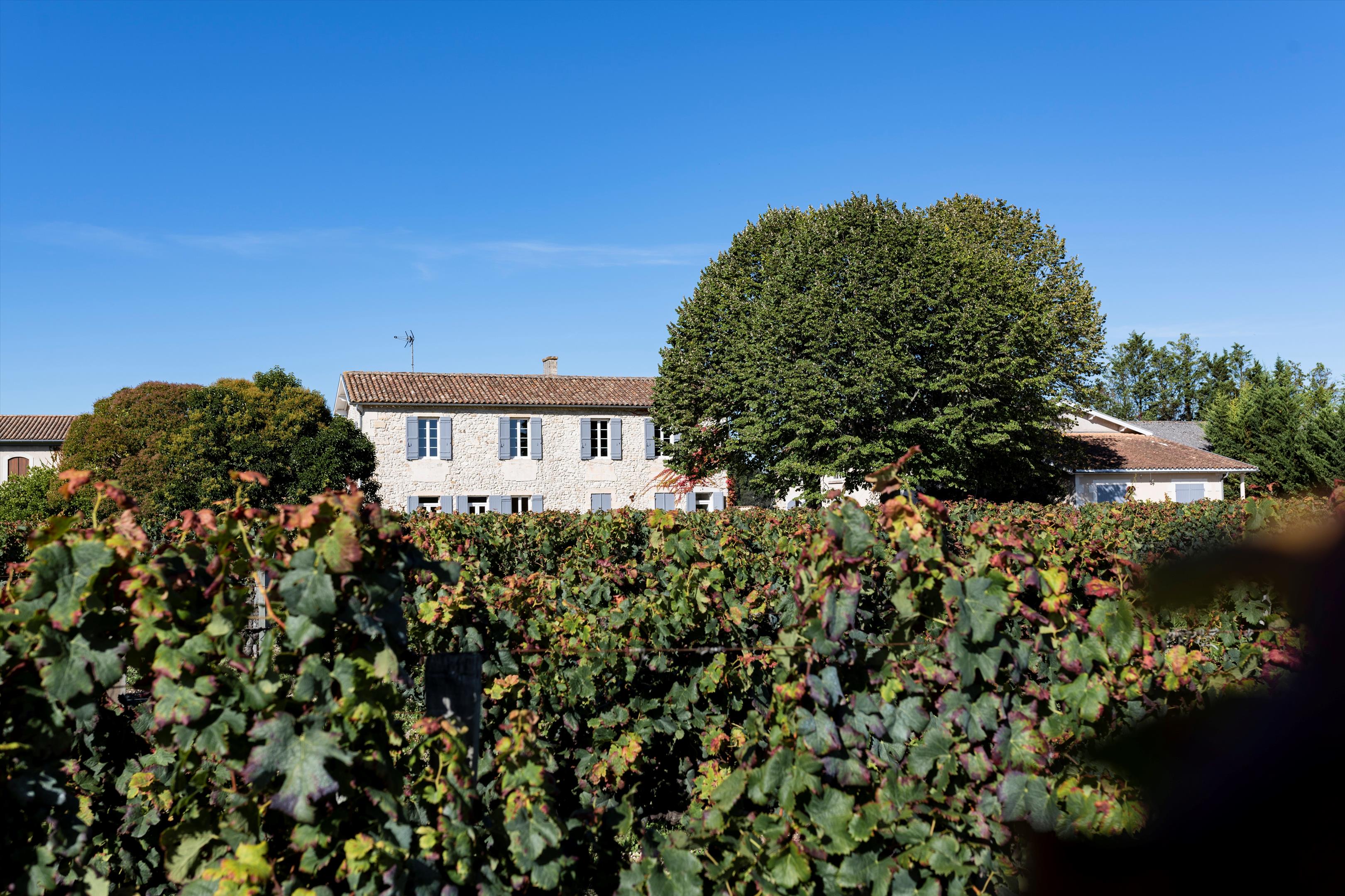 Cars, Gironde, Nouvelle-Aquitaine