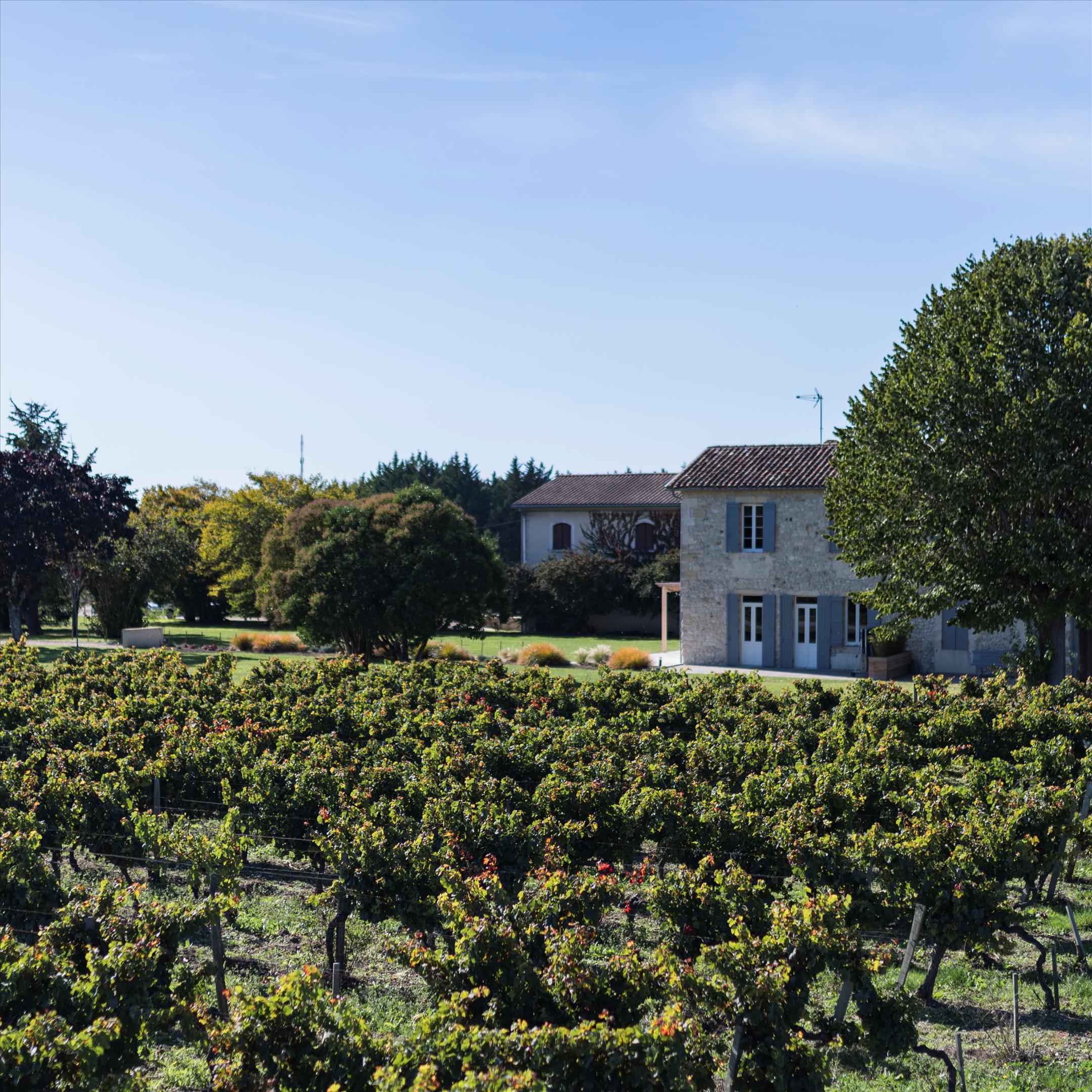 Cars, Gironde, Nouvelle-Aquitaine