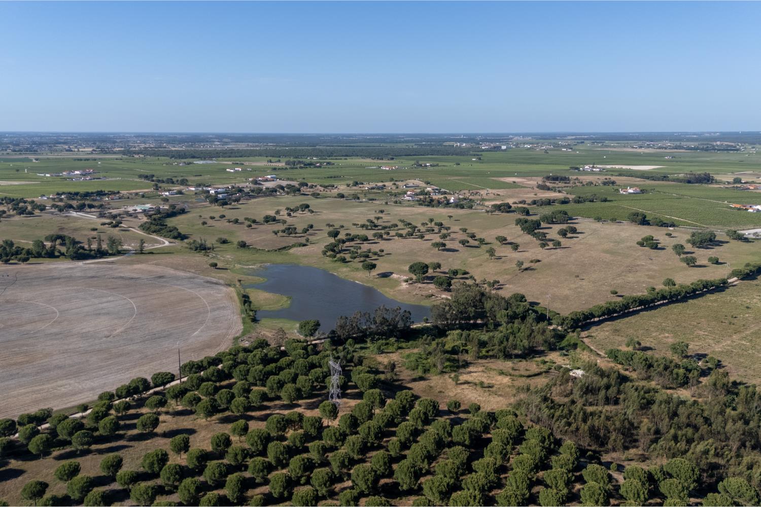 Palmela, Setúbal