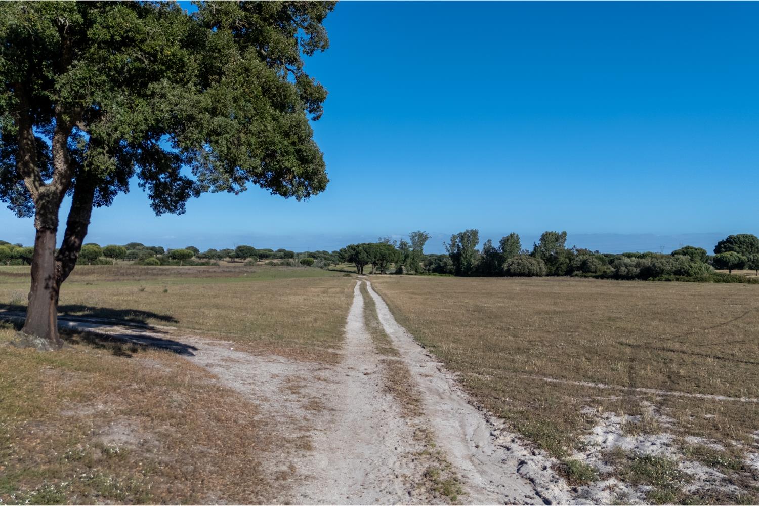 Palmela, Setúbal