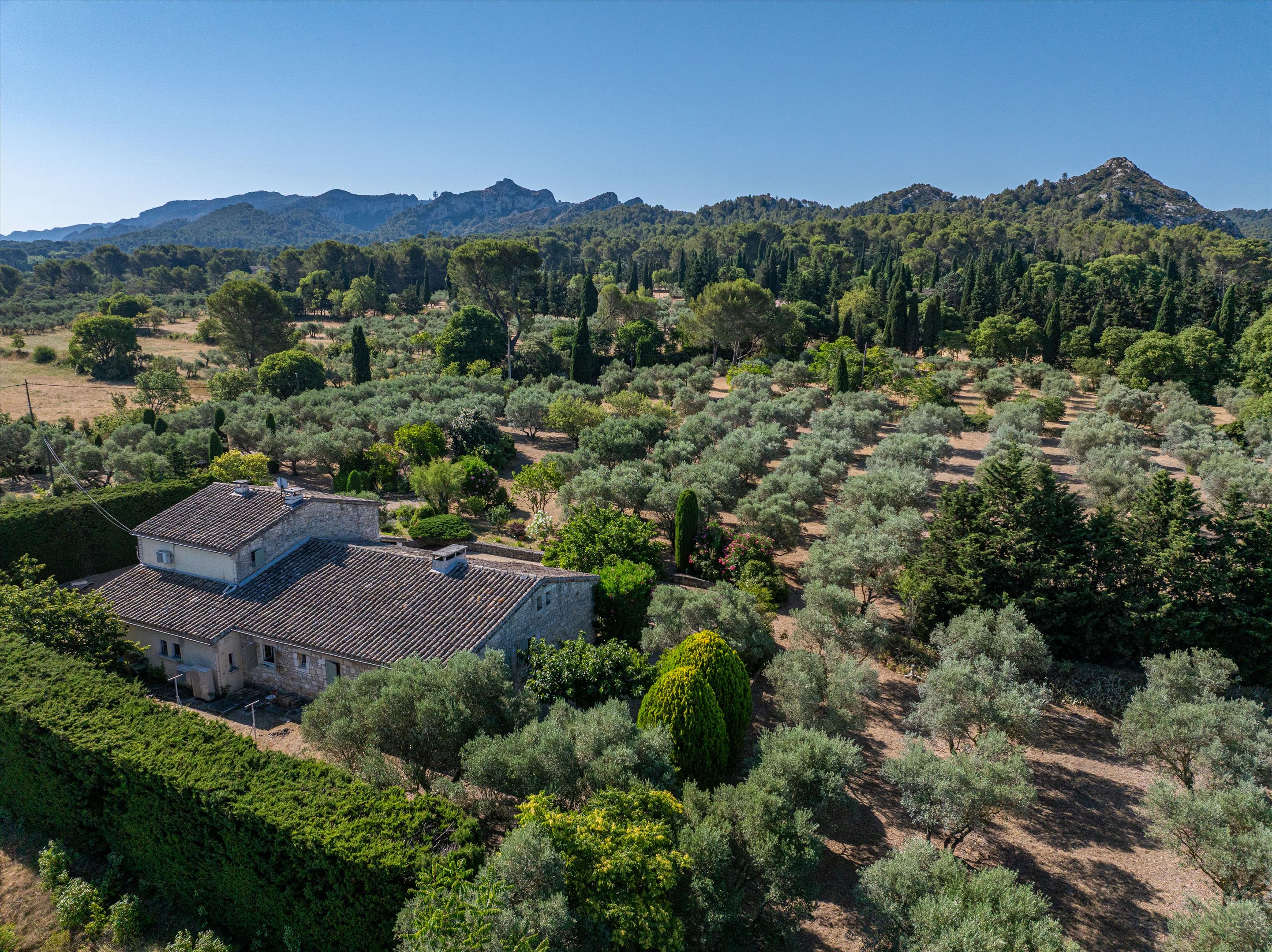 Saint-Rémy-de-Provence, Bouches-du-Rhône, Provence-Alpes-Côte d'Azur