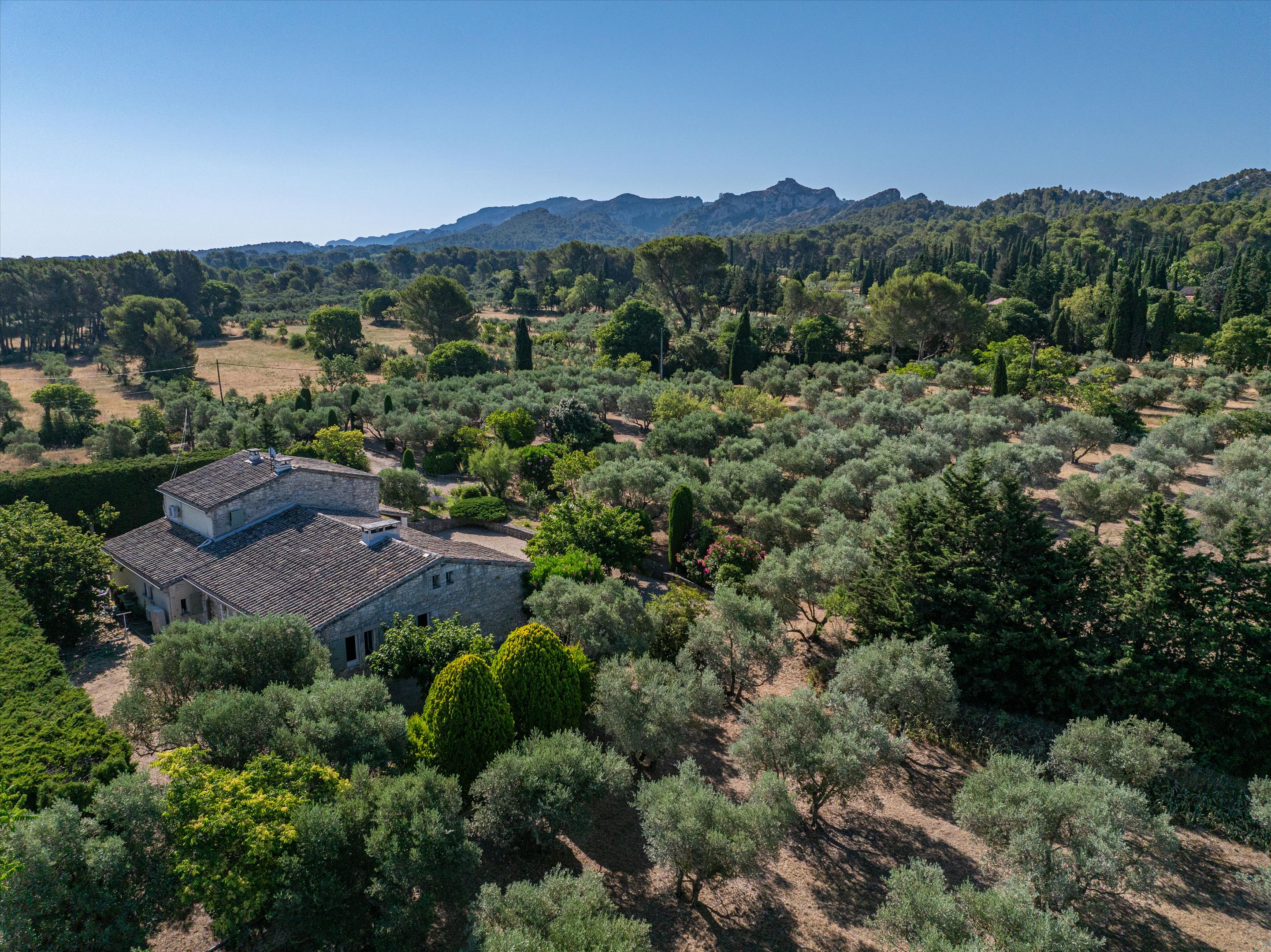 Saint-Rémy-de-Provence, Bouches-du-Rhône, Provence-Alpes-Côte d'Azur