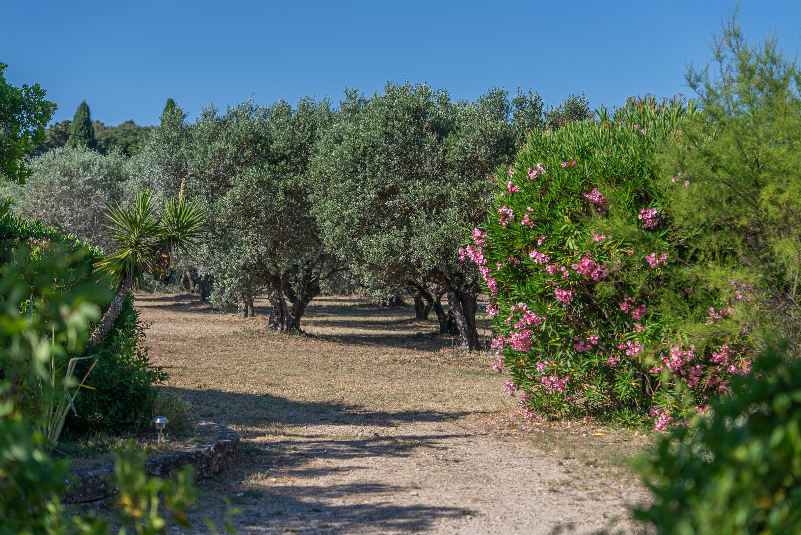 Saint-Rémy-de-Provence, Bouches-du-Rhône, Provence-Alpes-Côte d'Azur