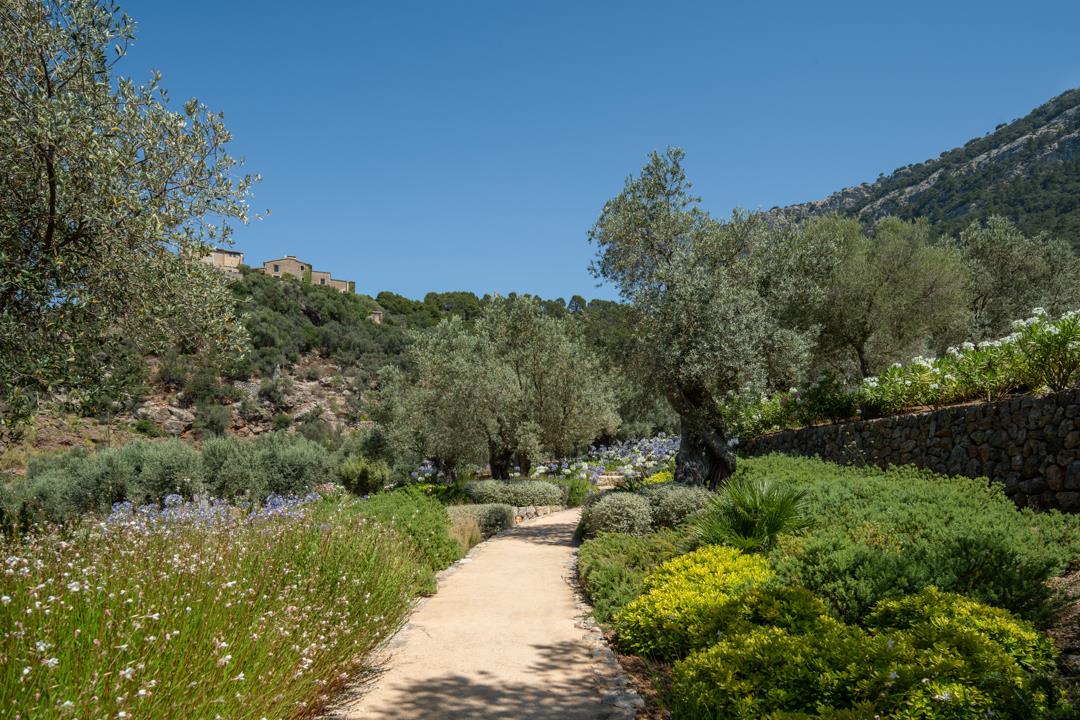 Mallorca, Deia, Islas Balears