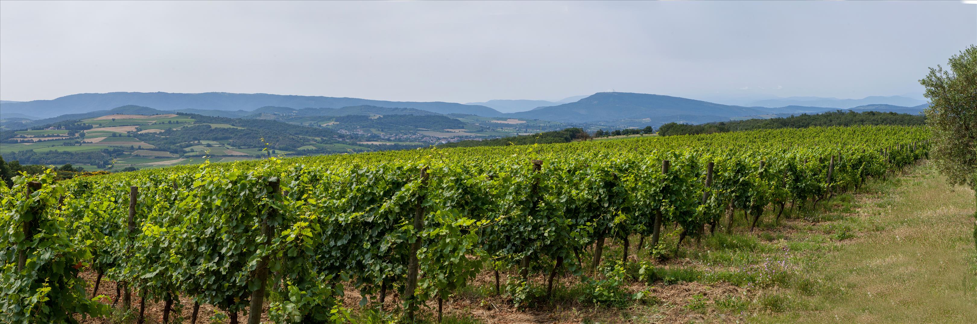 Limoux, Aude, Occitanie