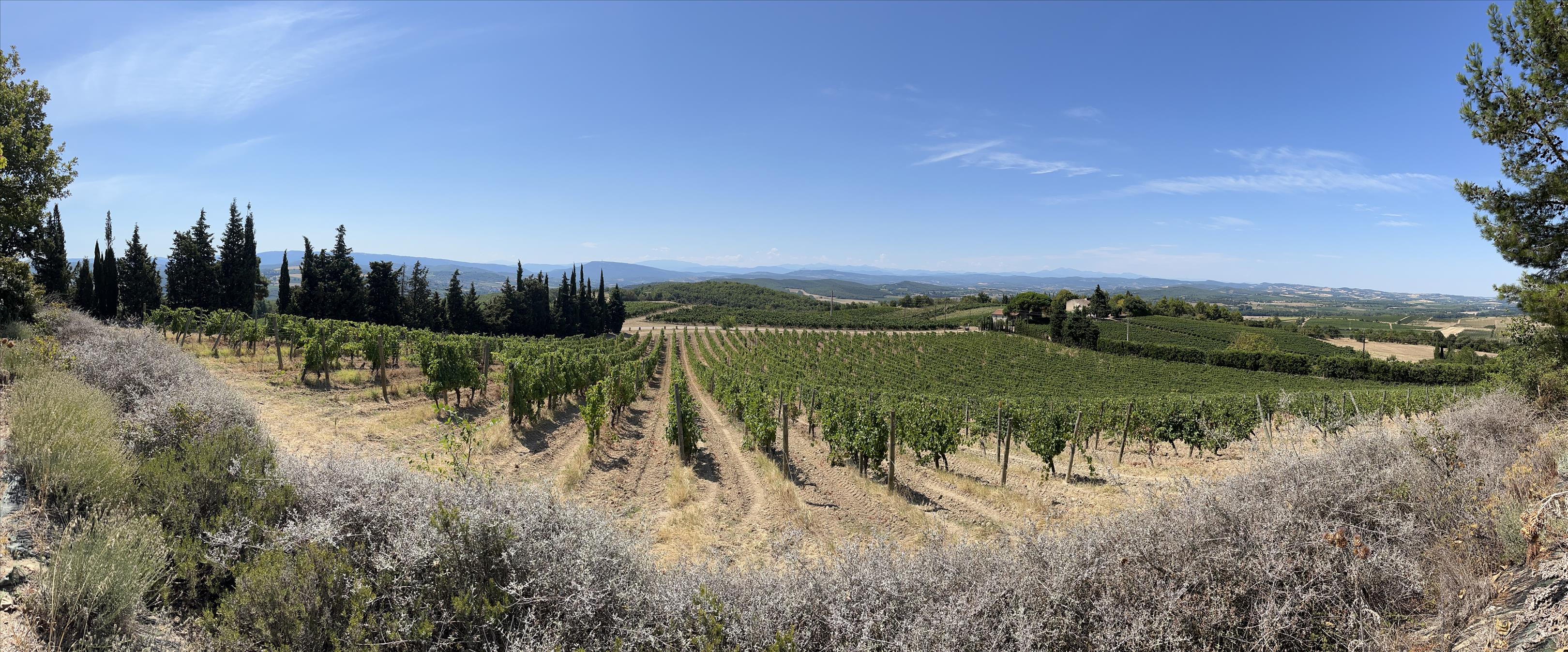 Limoux, Aude, Occitanie