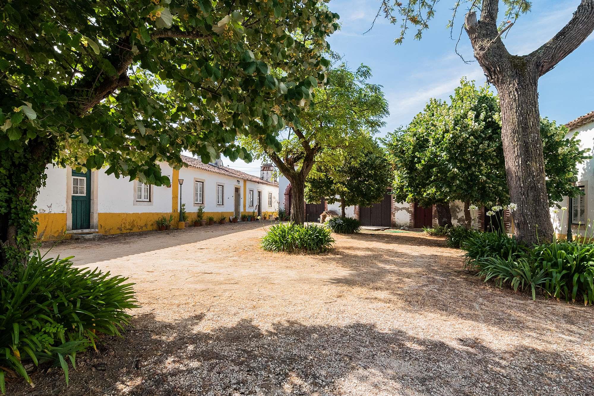 Torres Novas, Santarém