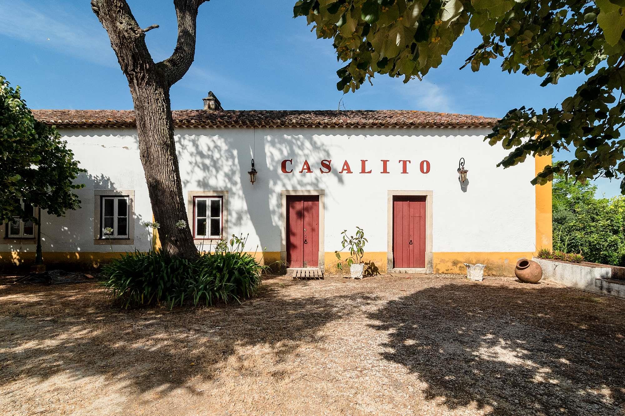 Torres Novas, Santarém