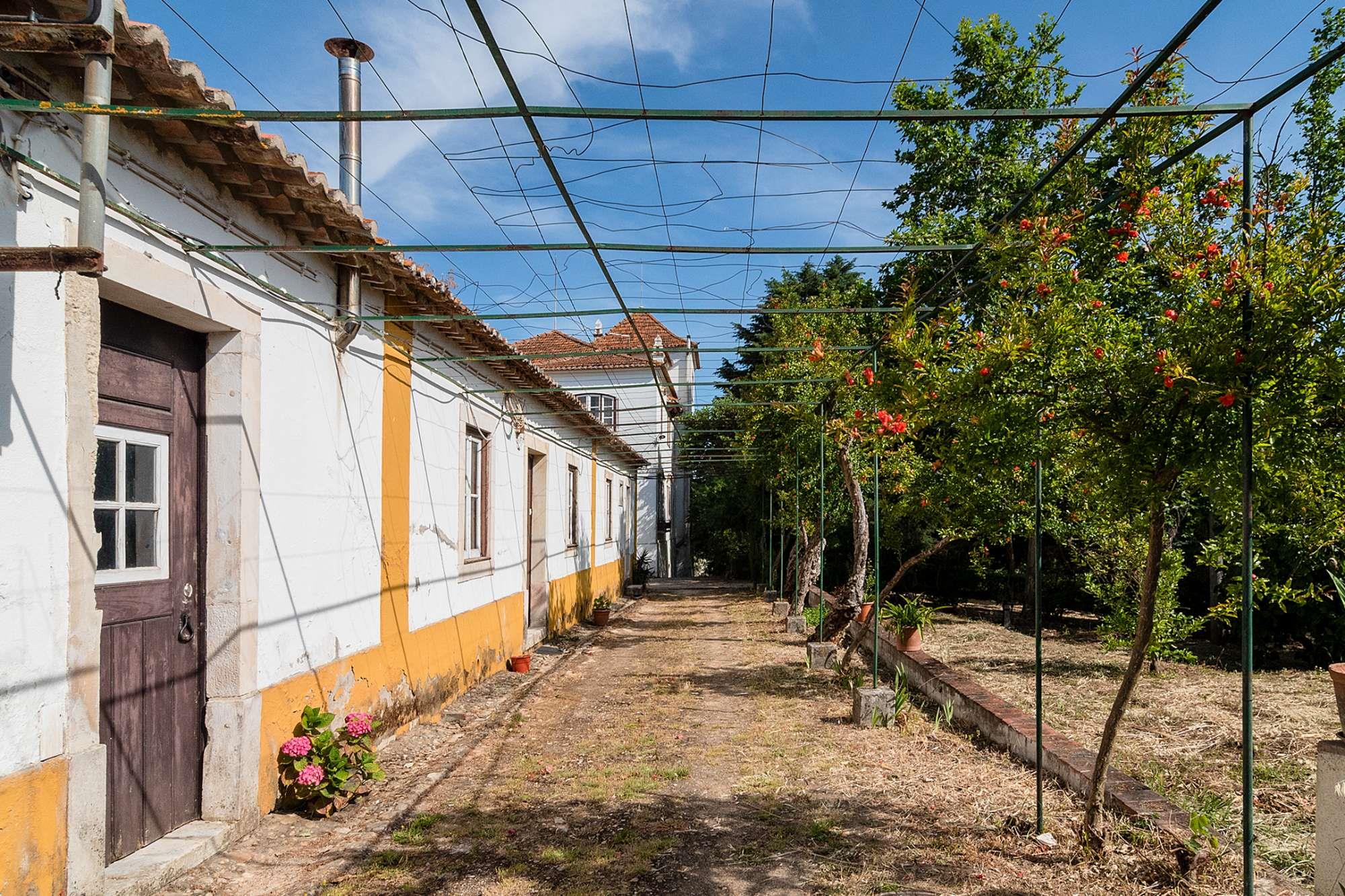 Torres Novas, Santarém