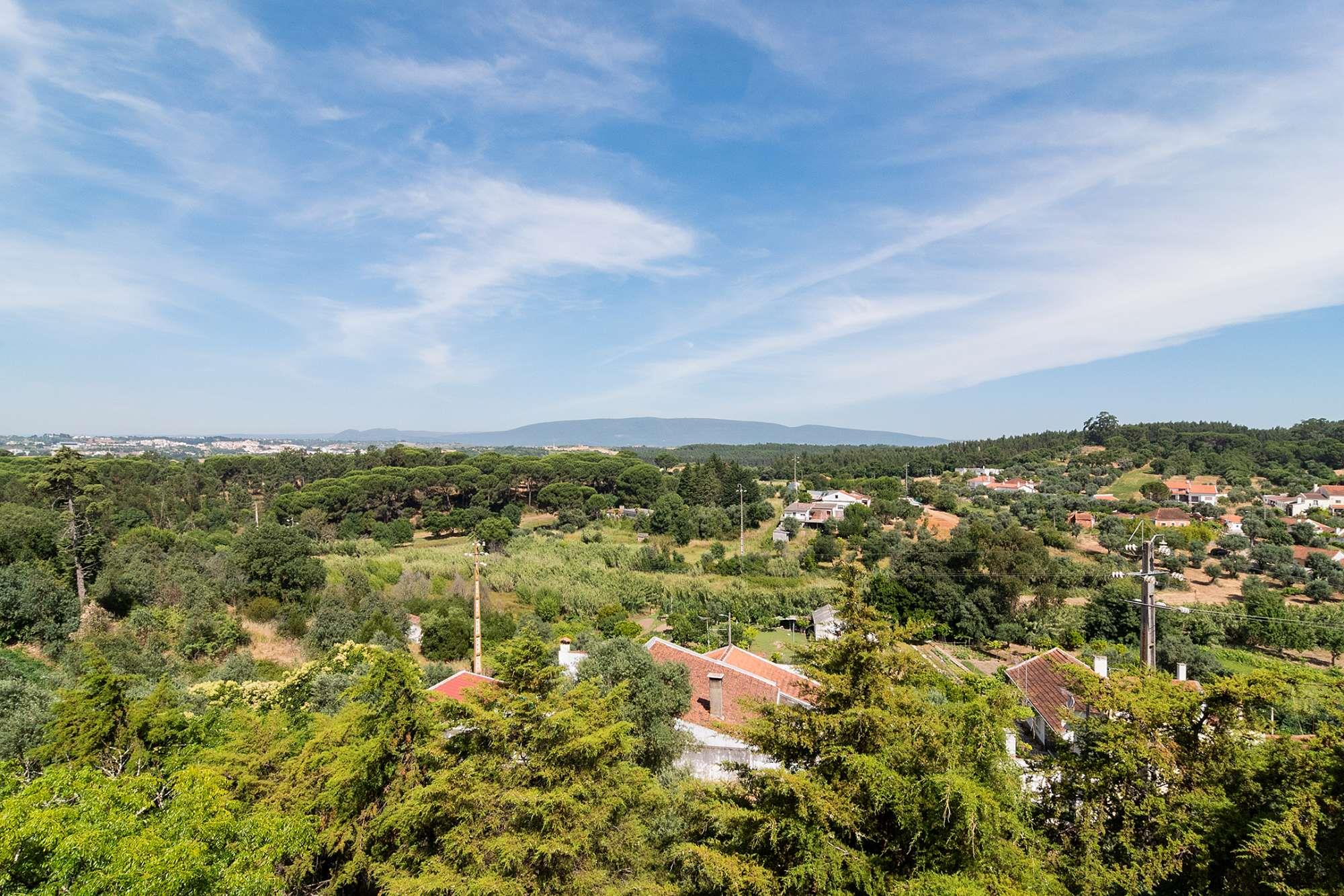Torres Novas, Santarém