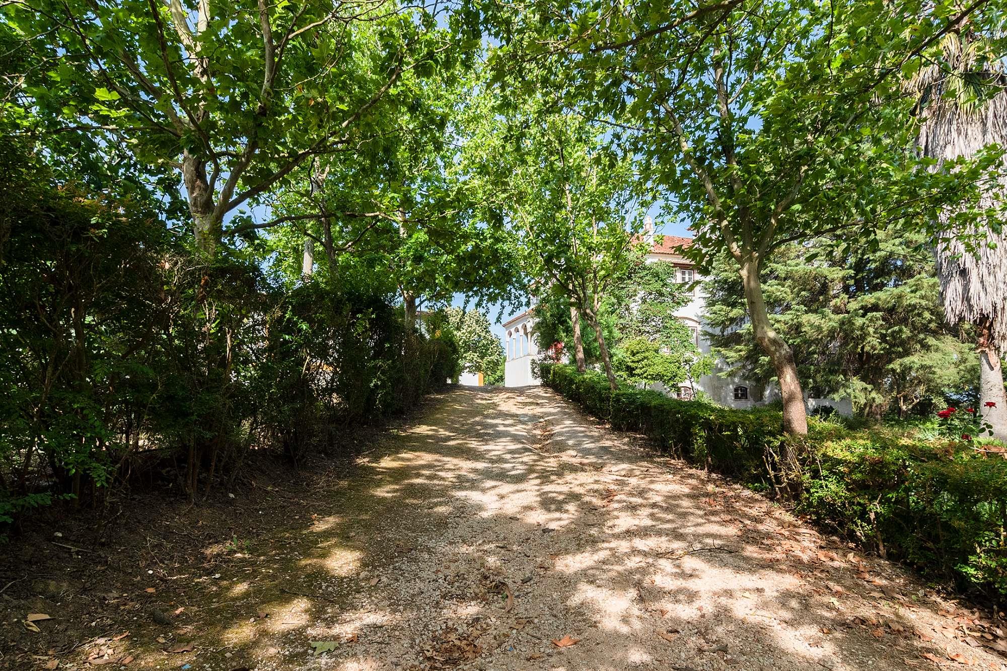 Torres Novas, Santarém