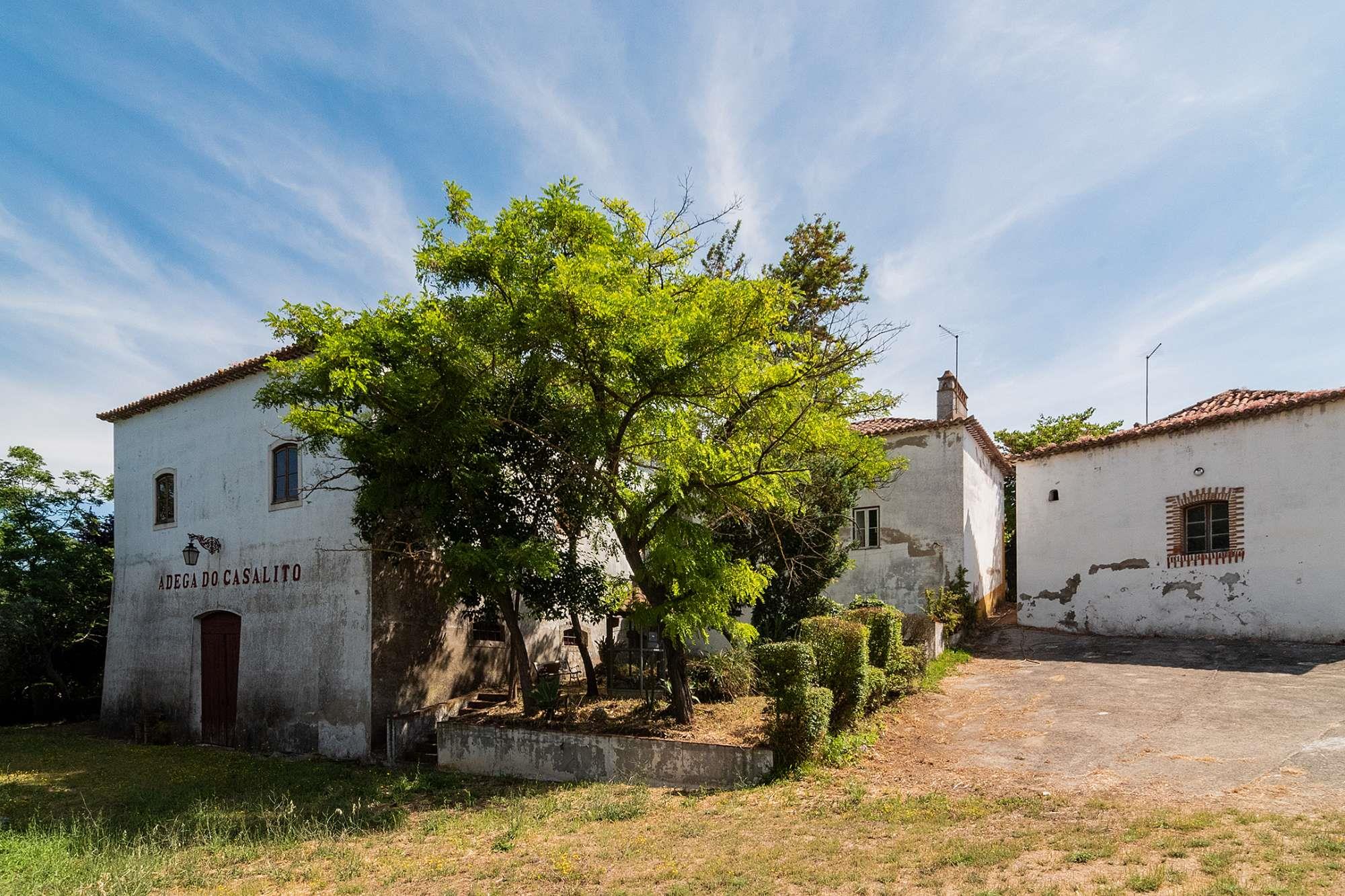 Torres Novas, Santarém