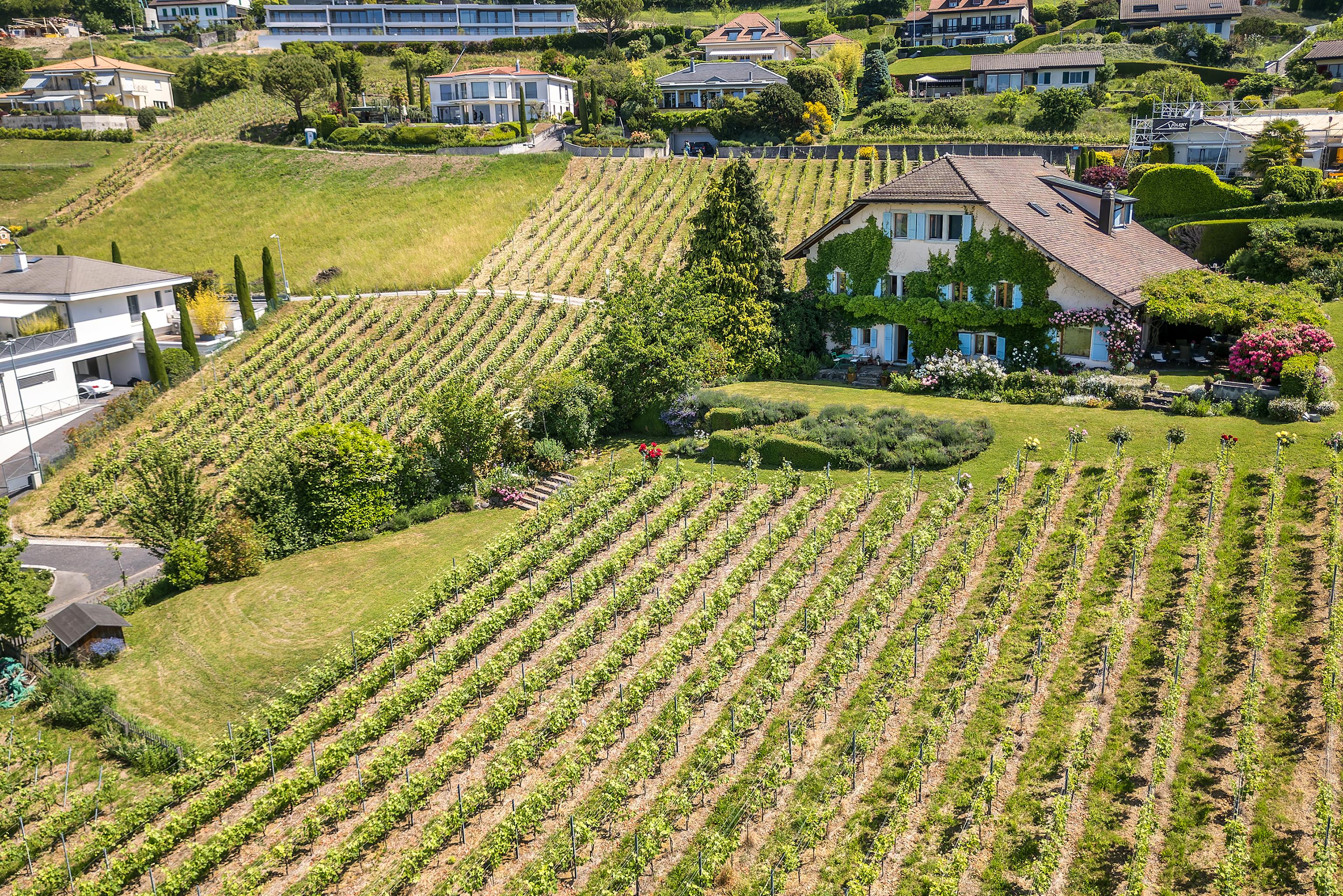 Lutry, Vaud