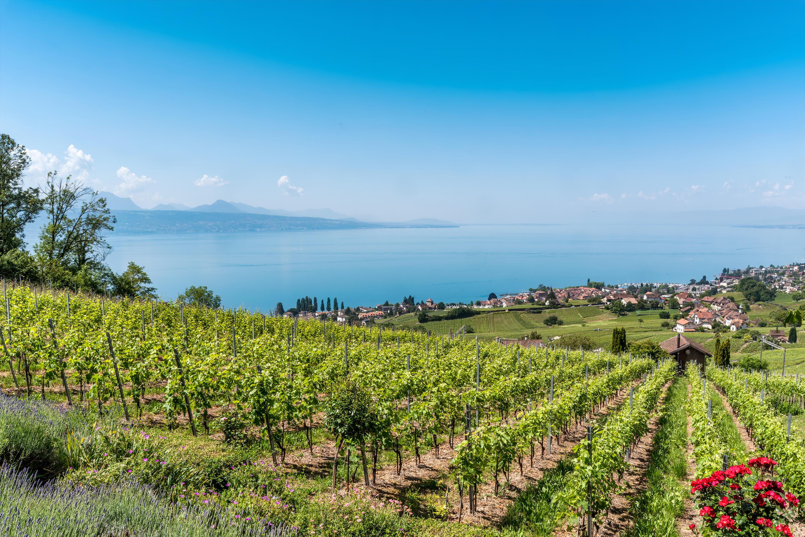 Lutry, Vaud