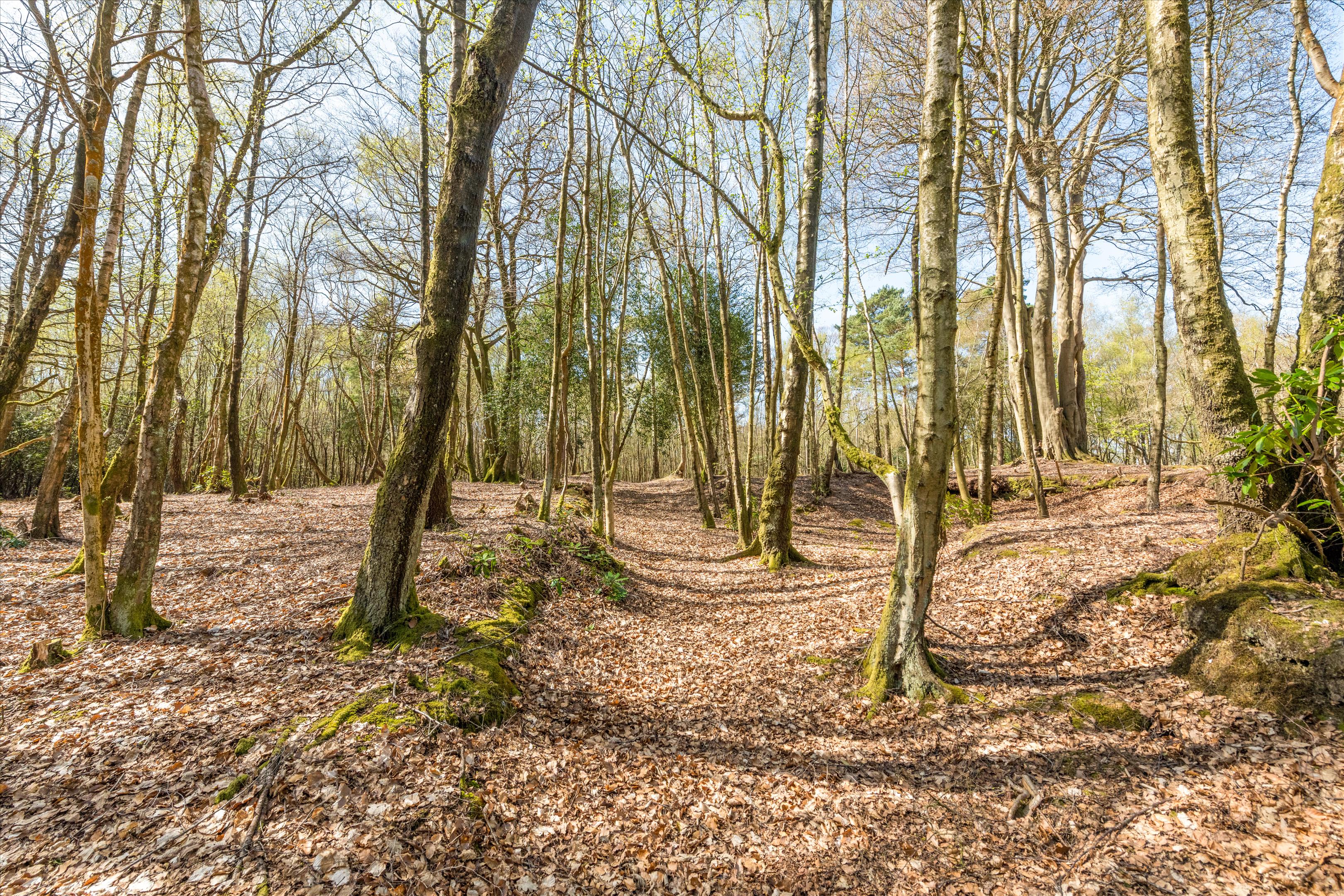 Phillippines Shaw, Ide Hill, Sevenoaks, Kent TN14