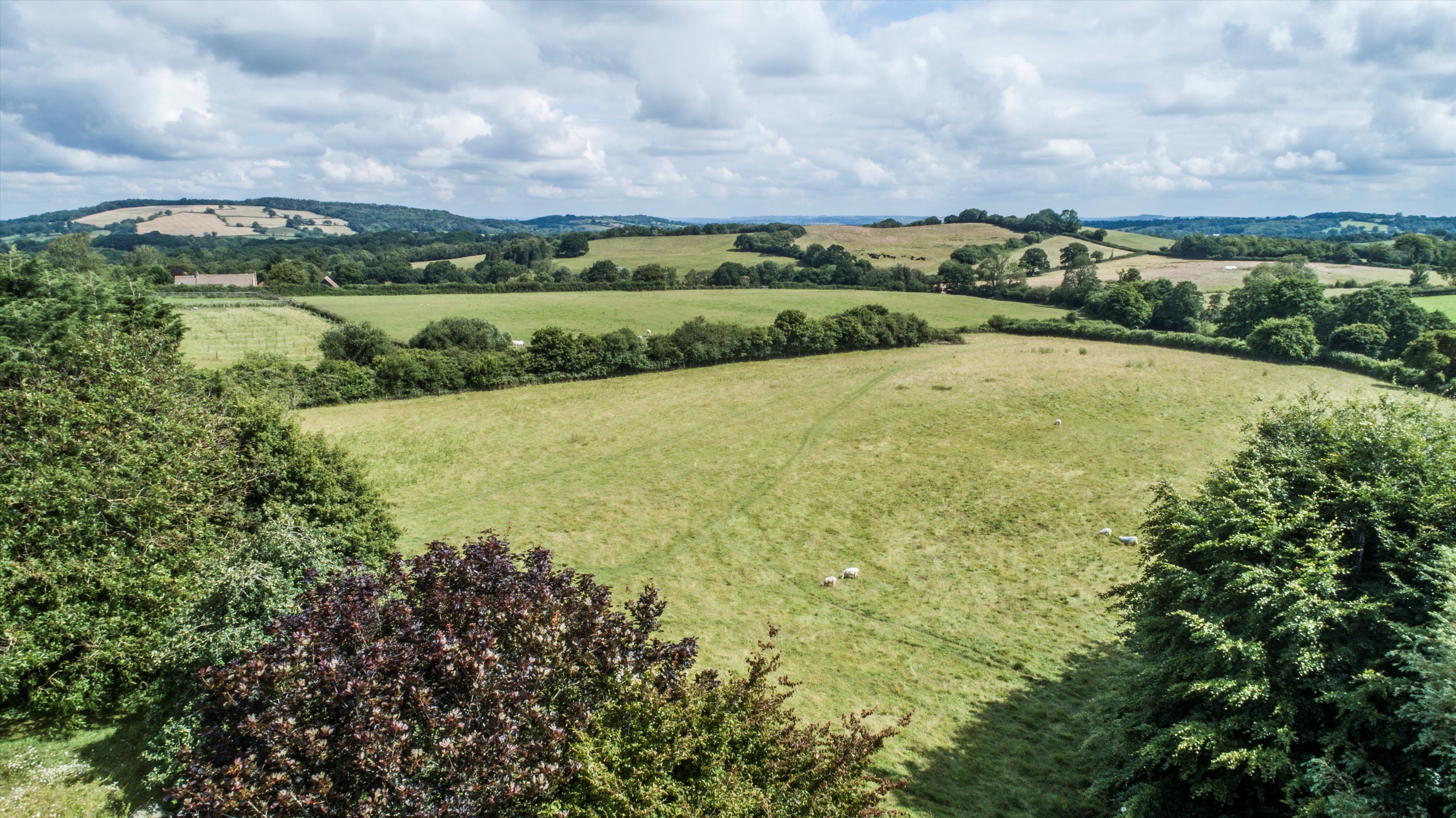 Corscombe, Dorchester, Dorset DT2