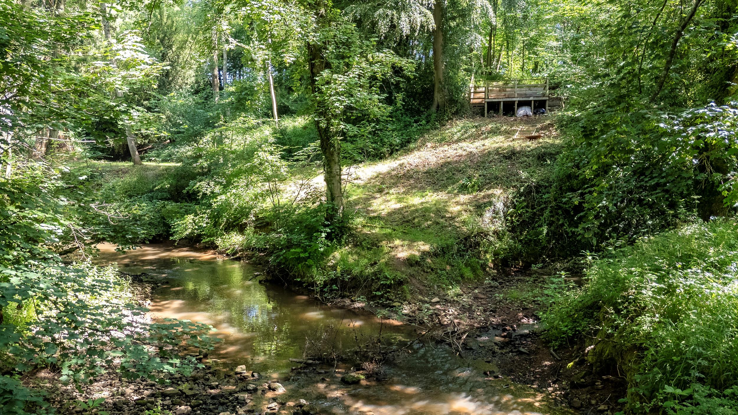 Ribwood, 3 Caynham Woods, Caynham, Ludlow, Shropshire SY8