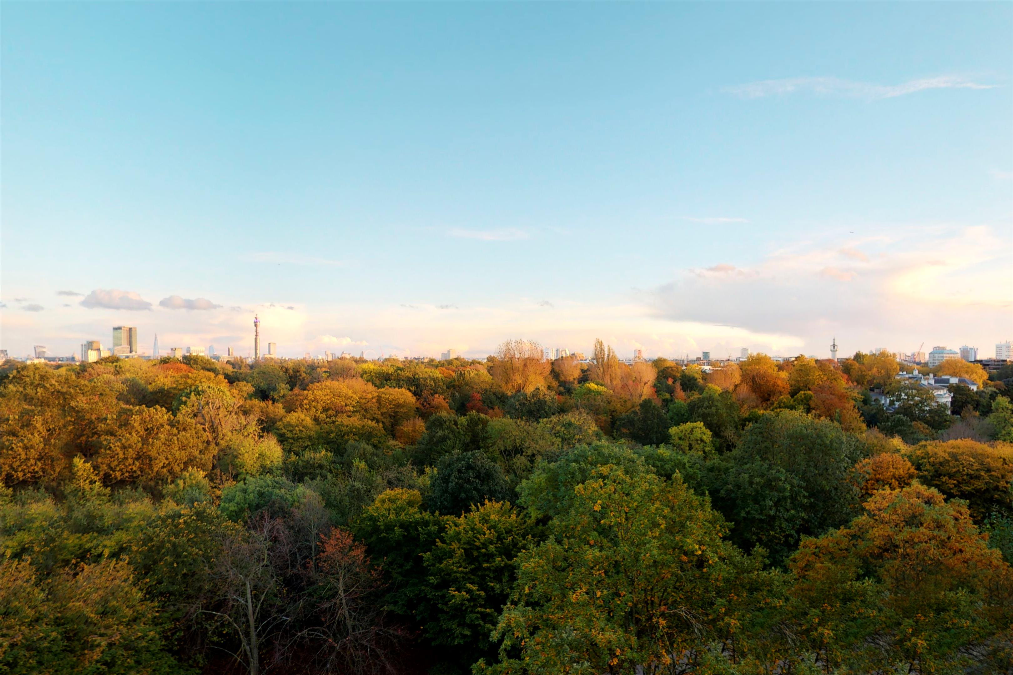 Viceroy Court, Prince Albert Road, St John's Wood NW8