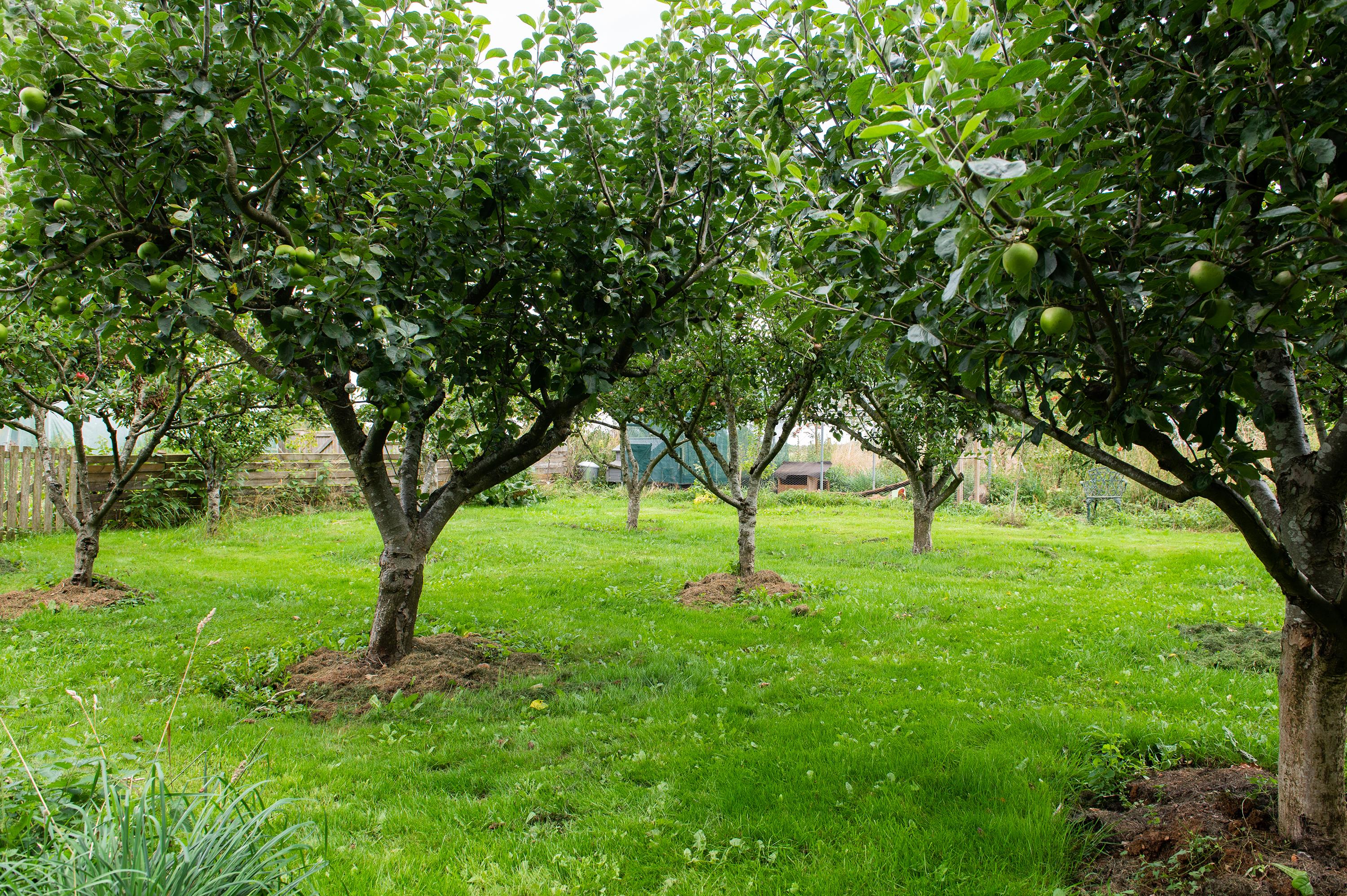 Ratley, Banbury, Warwickshire, OX15