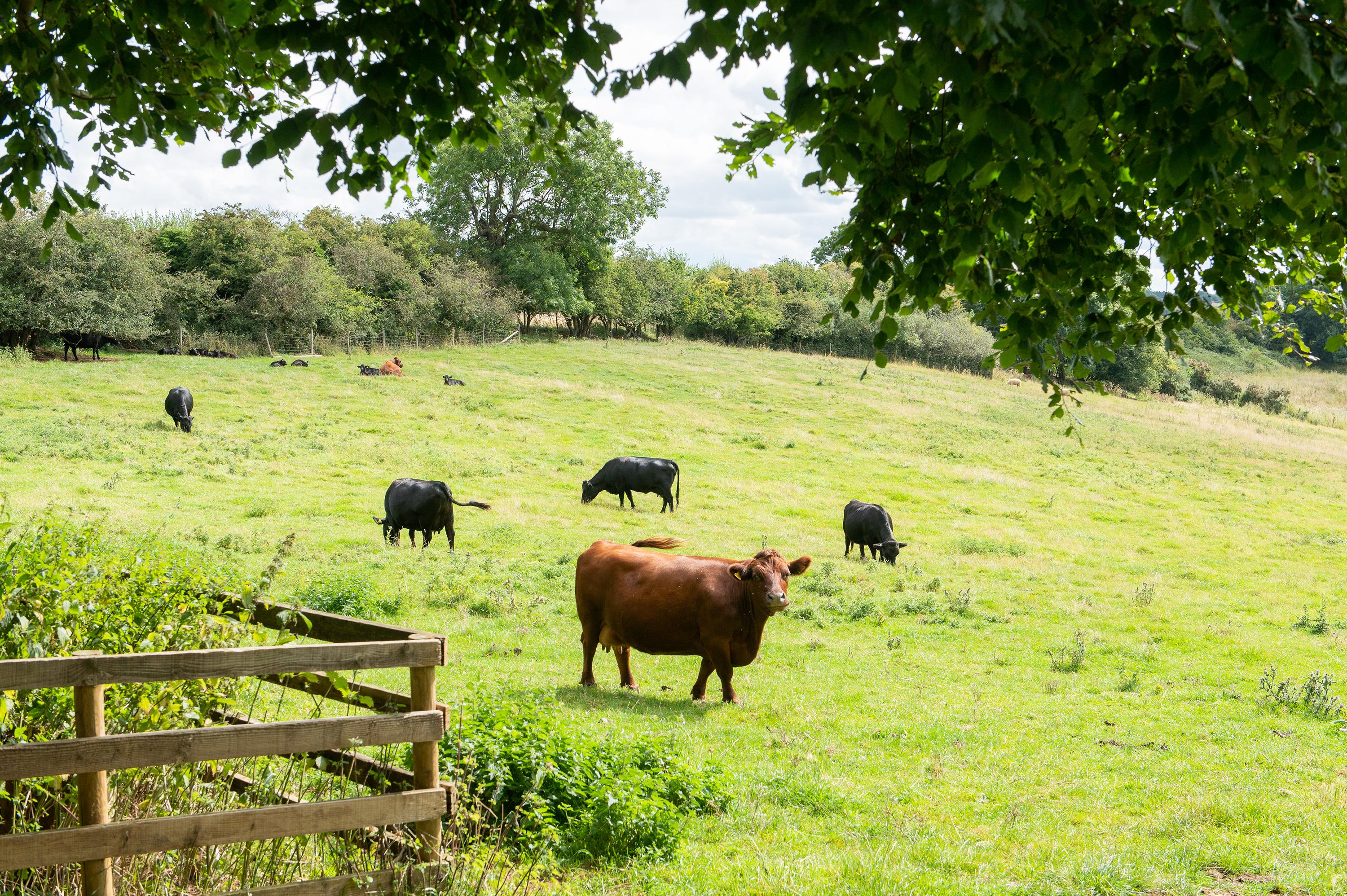 Ratley, Banbury, Warwickshire, OX15