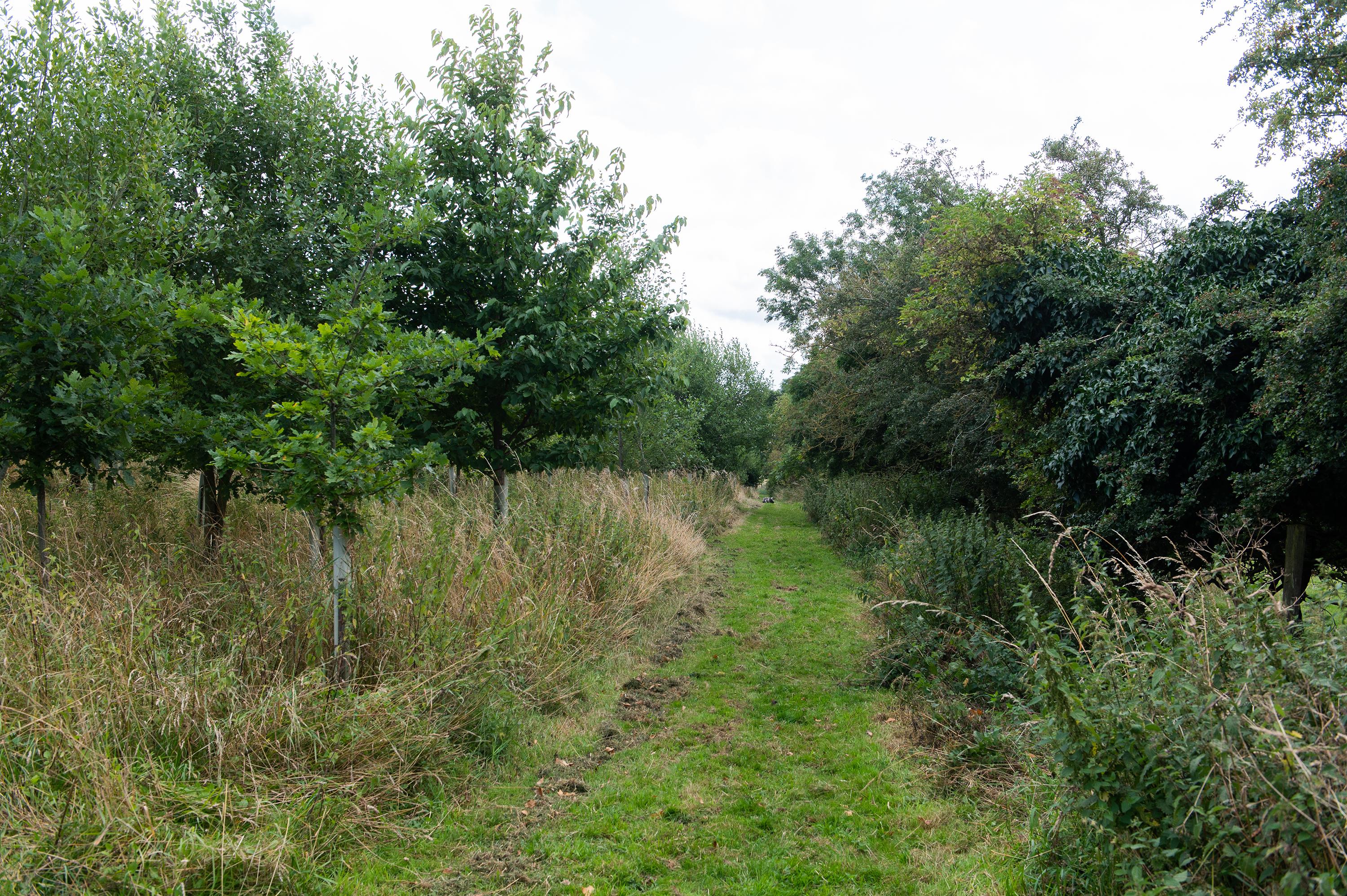 Ratley, Banbury, Warwickshire, OX15