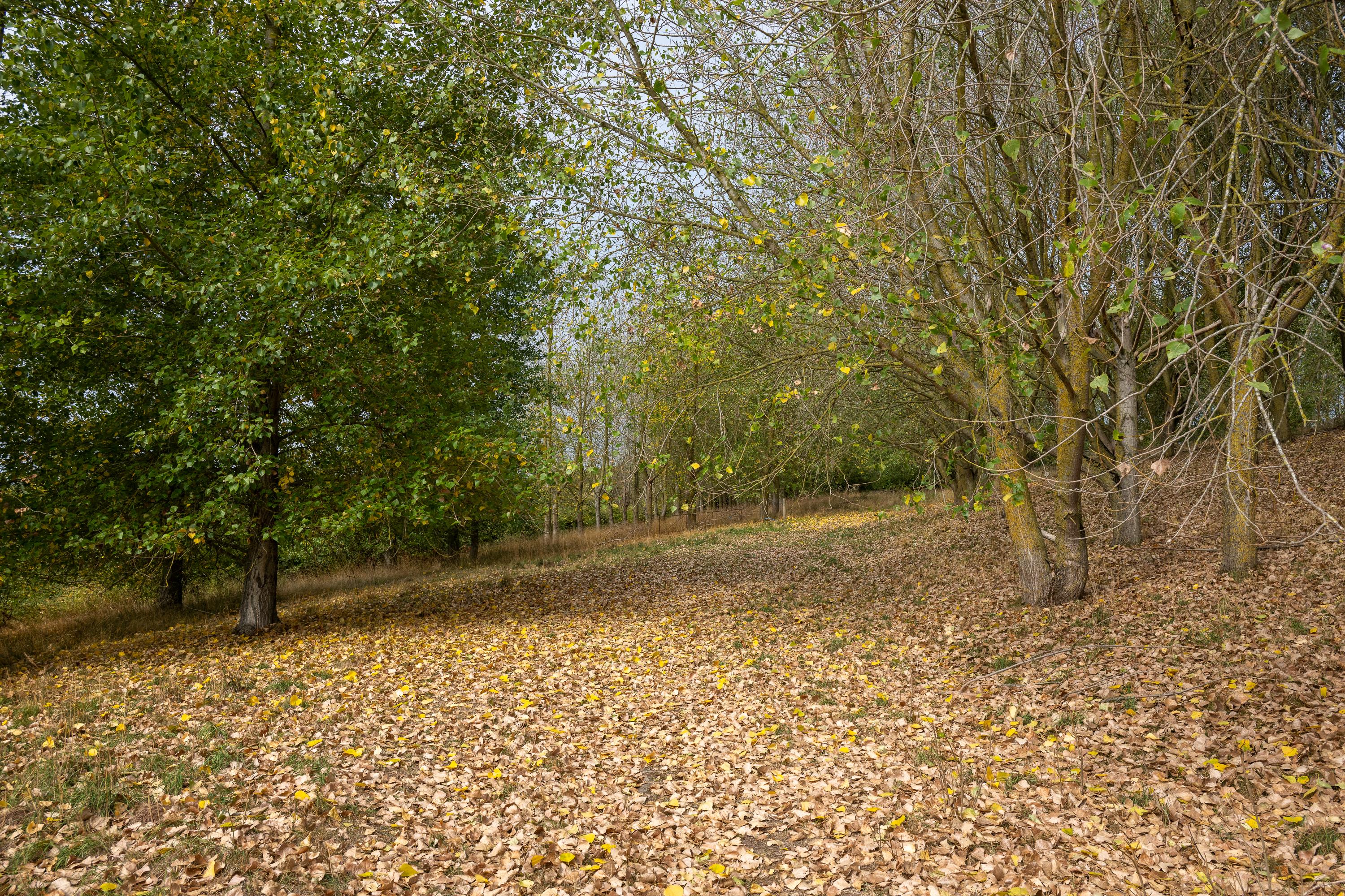 Bulls Lane, Wishaw, Sutton Coldfield, Warwickshire, B76