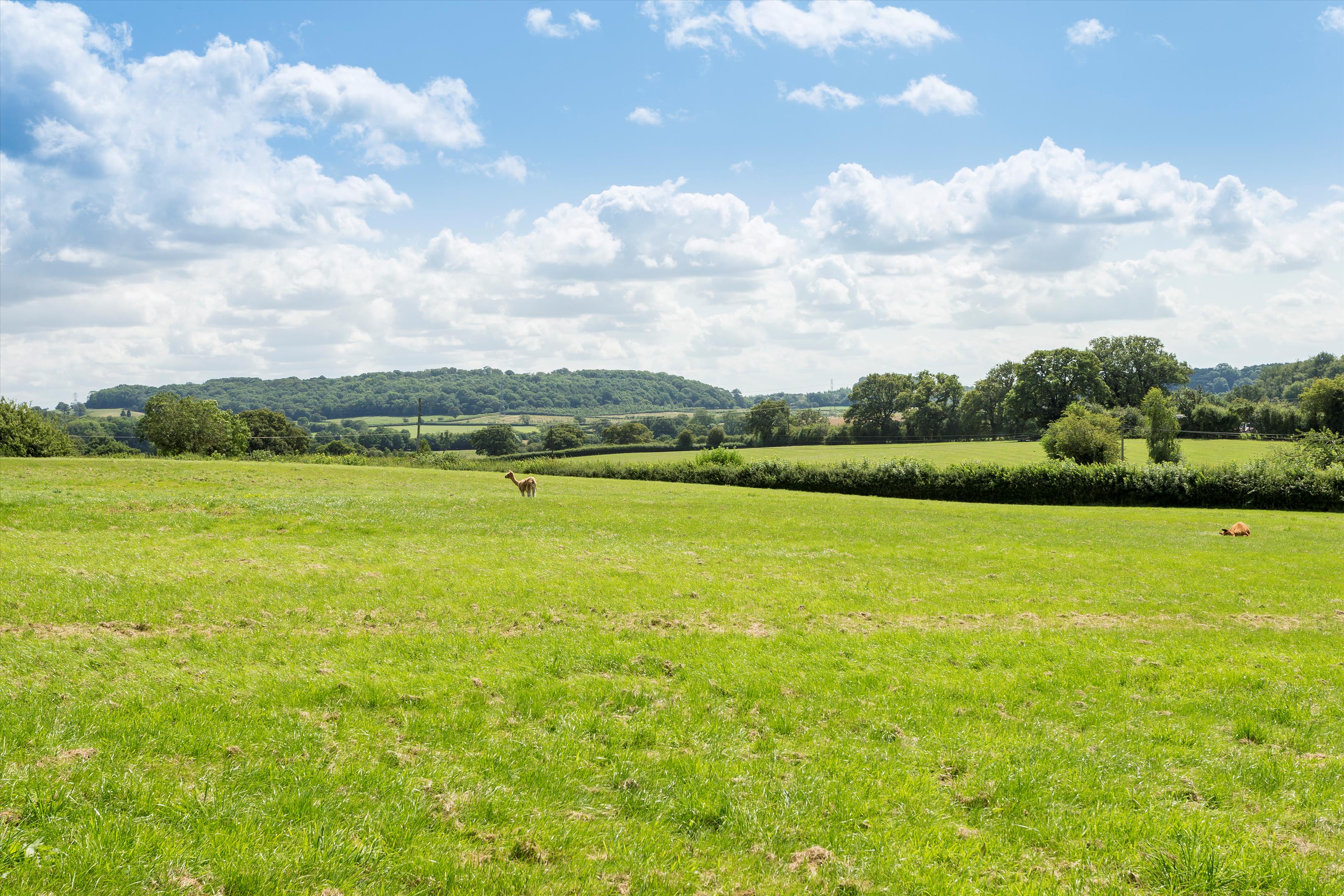 Clarkes Green, Studley, Warwickshire, B80