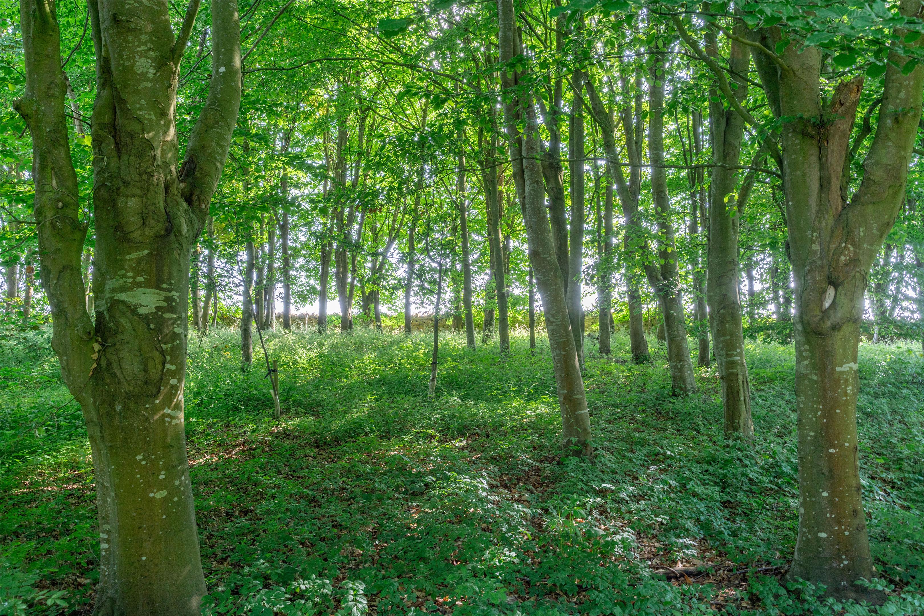 Near Cold Aston, GL54